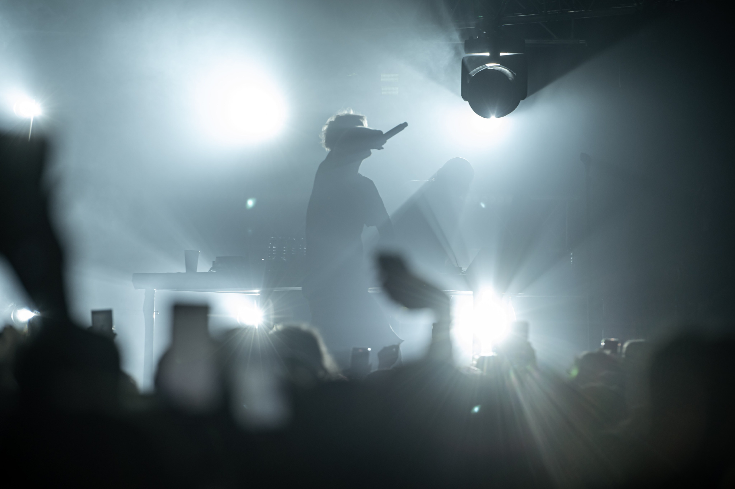 Pharaon. Royal Park. Фотограф в Калининграде Роман Большаков