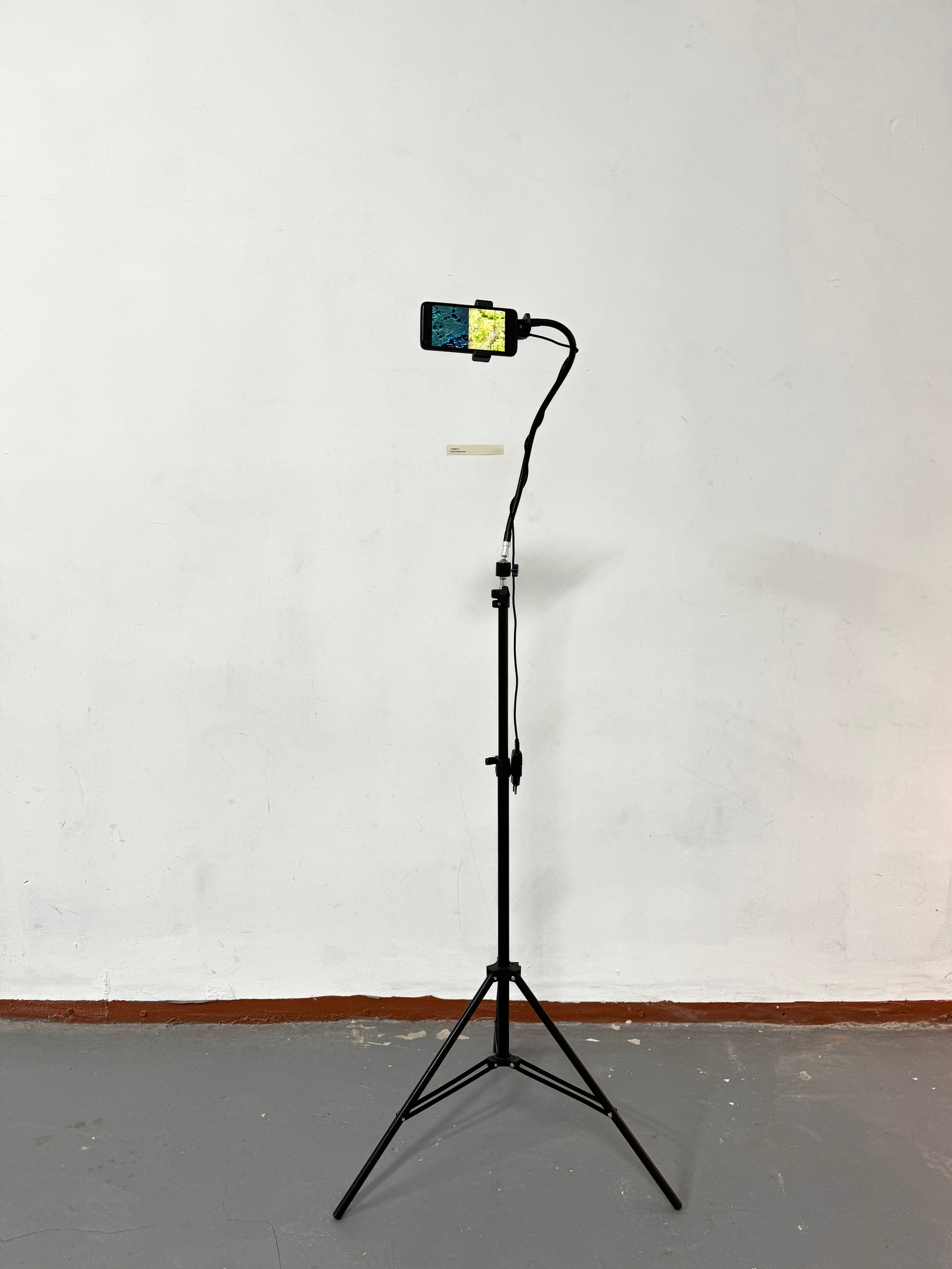 «Толька пришёл», групповая выставка, 14-28.12.2024, Часовой Завод, Ростов-на-Дону. Лера Круглова