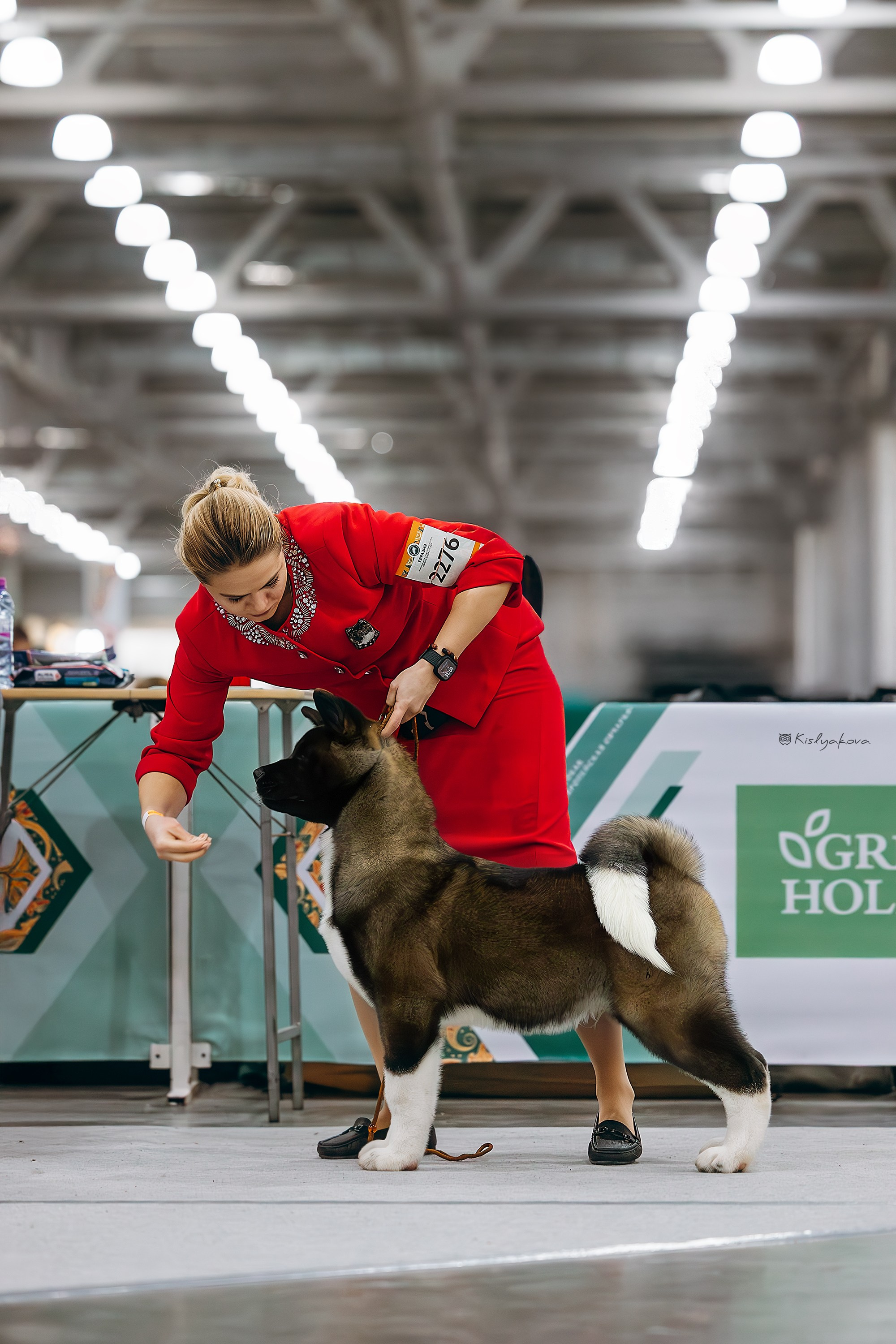Выставочный репортаж. Фотограф. Фотограф-анималист. Москва