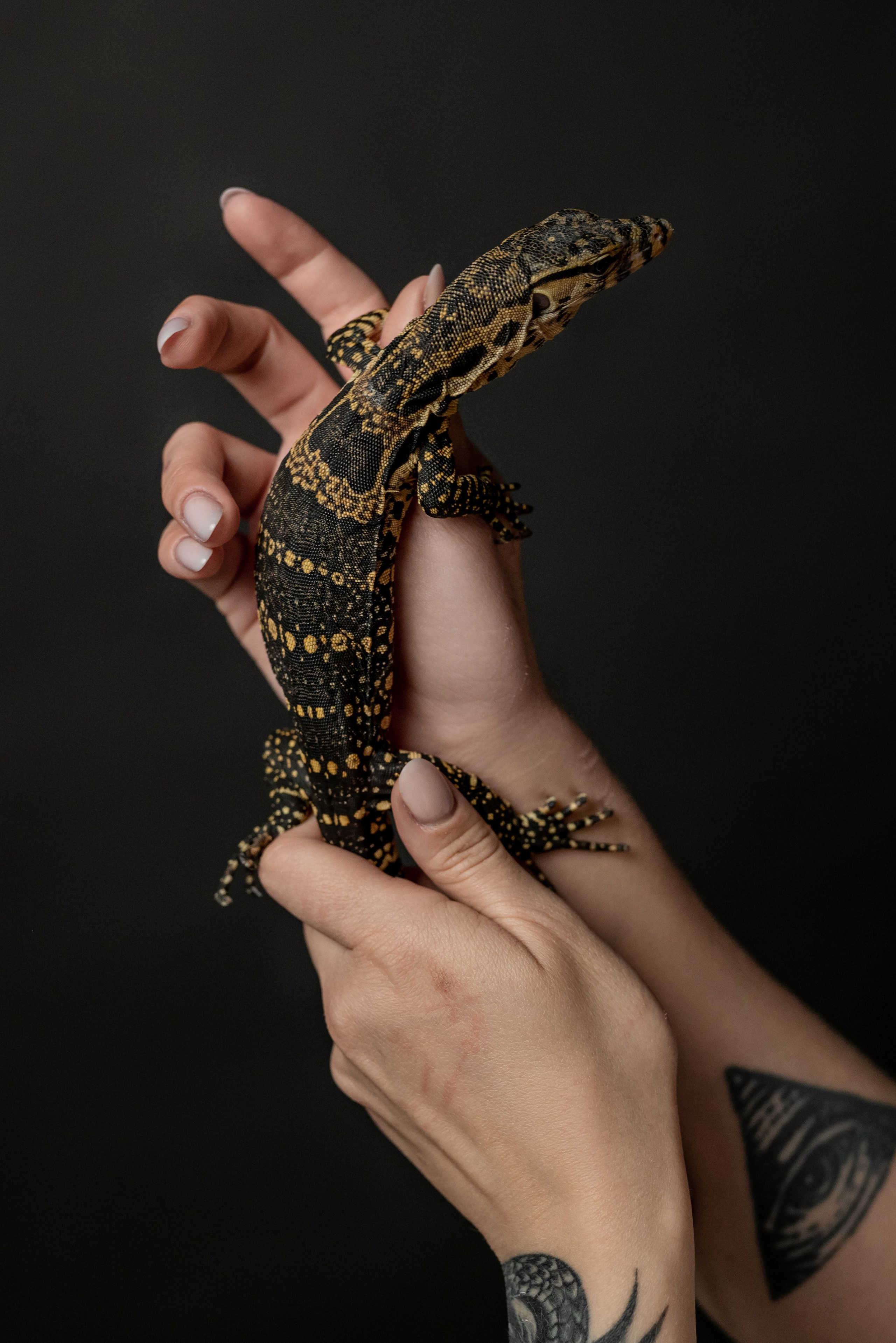 Кристина. Фотограф в городе Салават