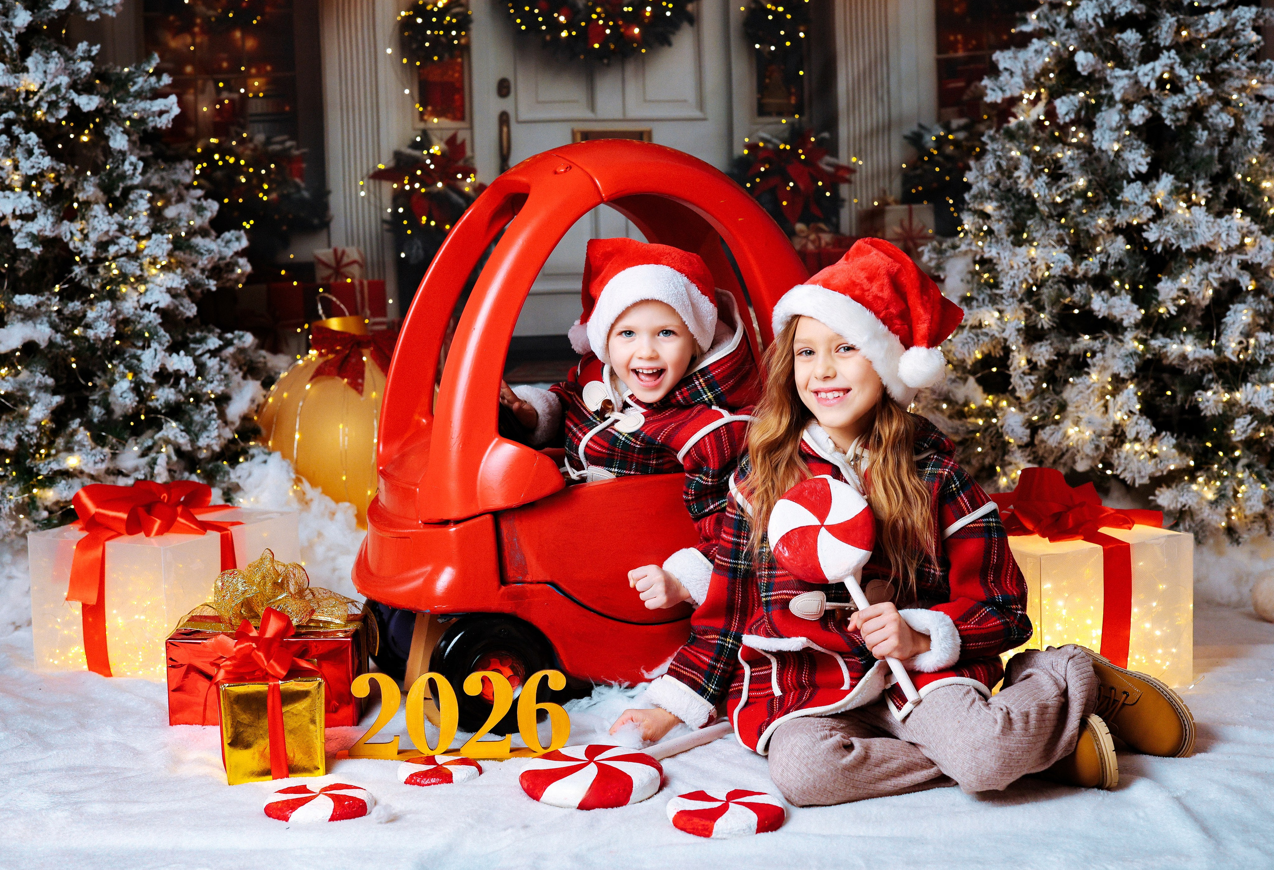 2026 НОВОГОДНЕЕ