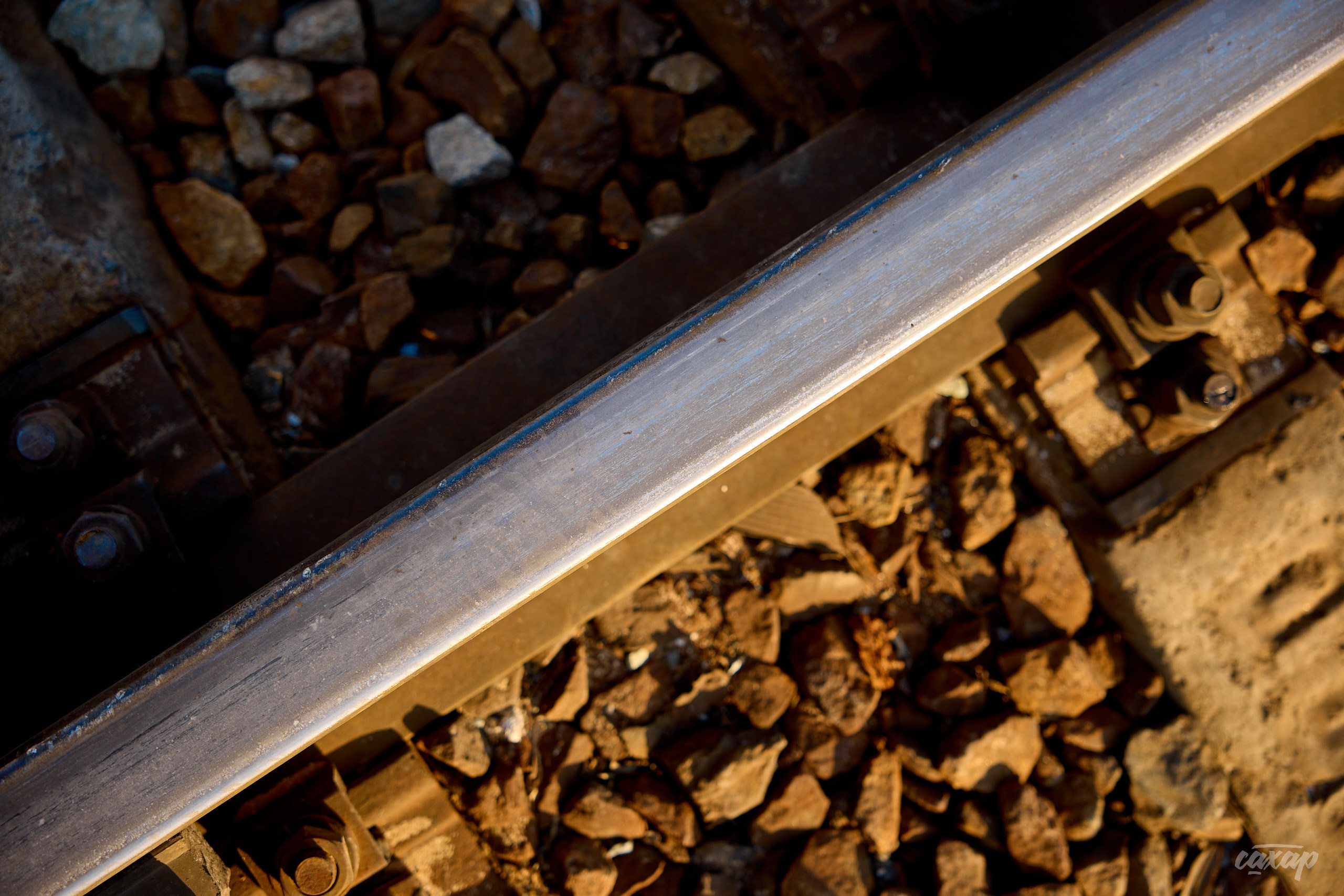 Что вижу, то и пою! от 2024_06_11. Профессиональный фотограф в Екатеринбурге Юра Сахар