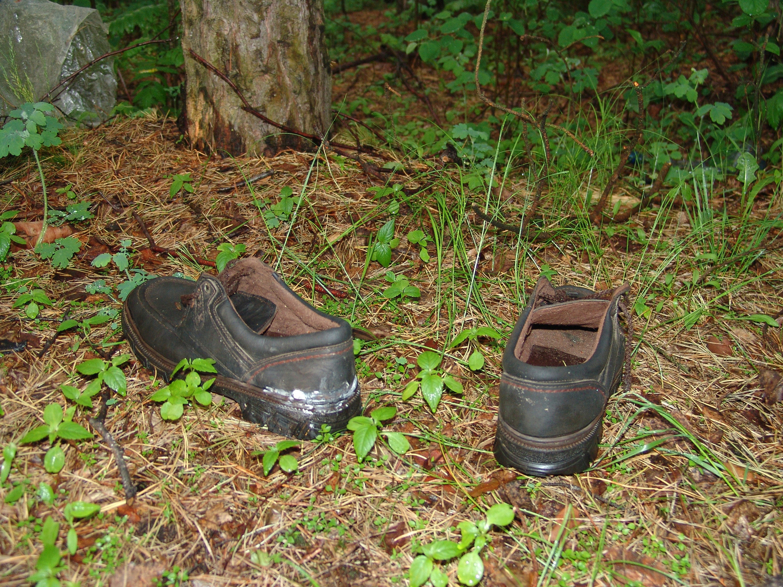 Приезд КС 2005. Заставка