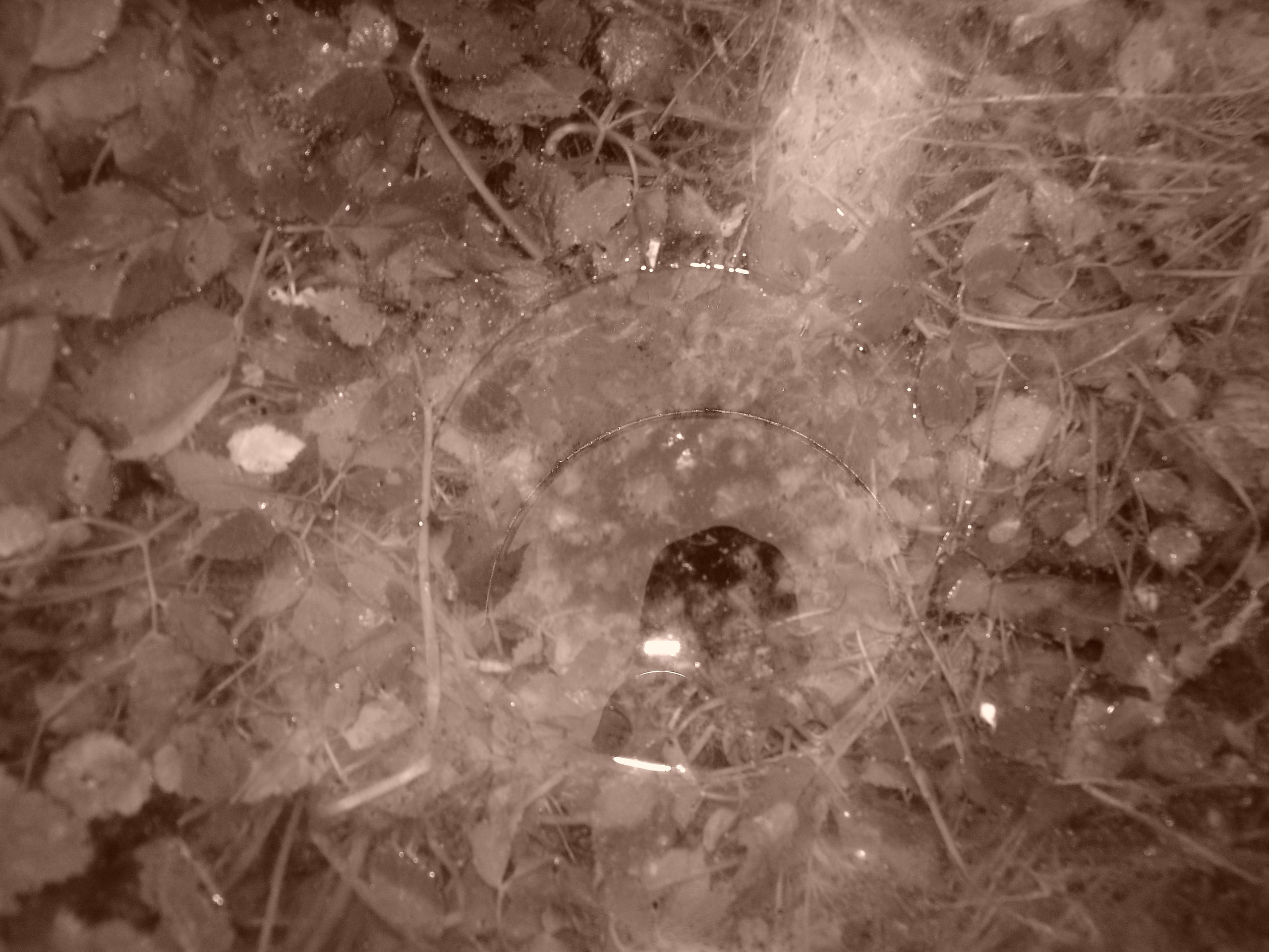 Приезд КС 2005. Заставка