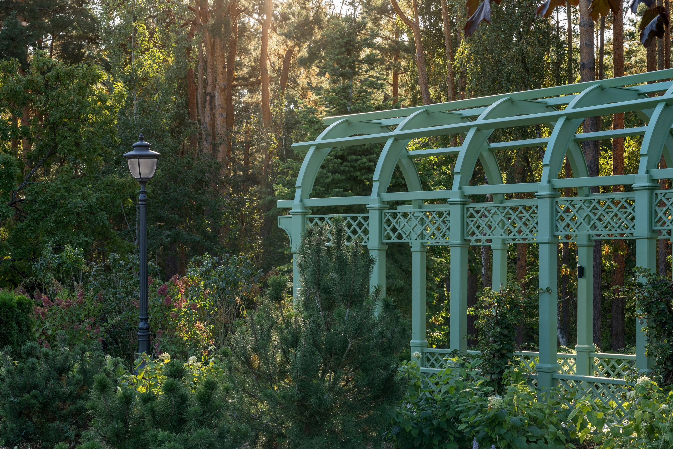 Scenic garden in the Moscow region