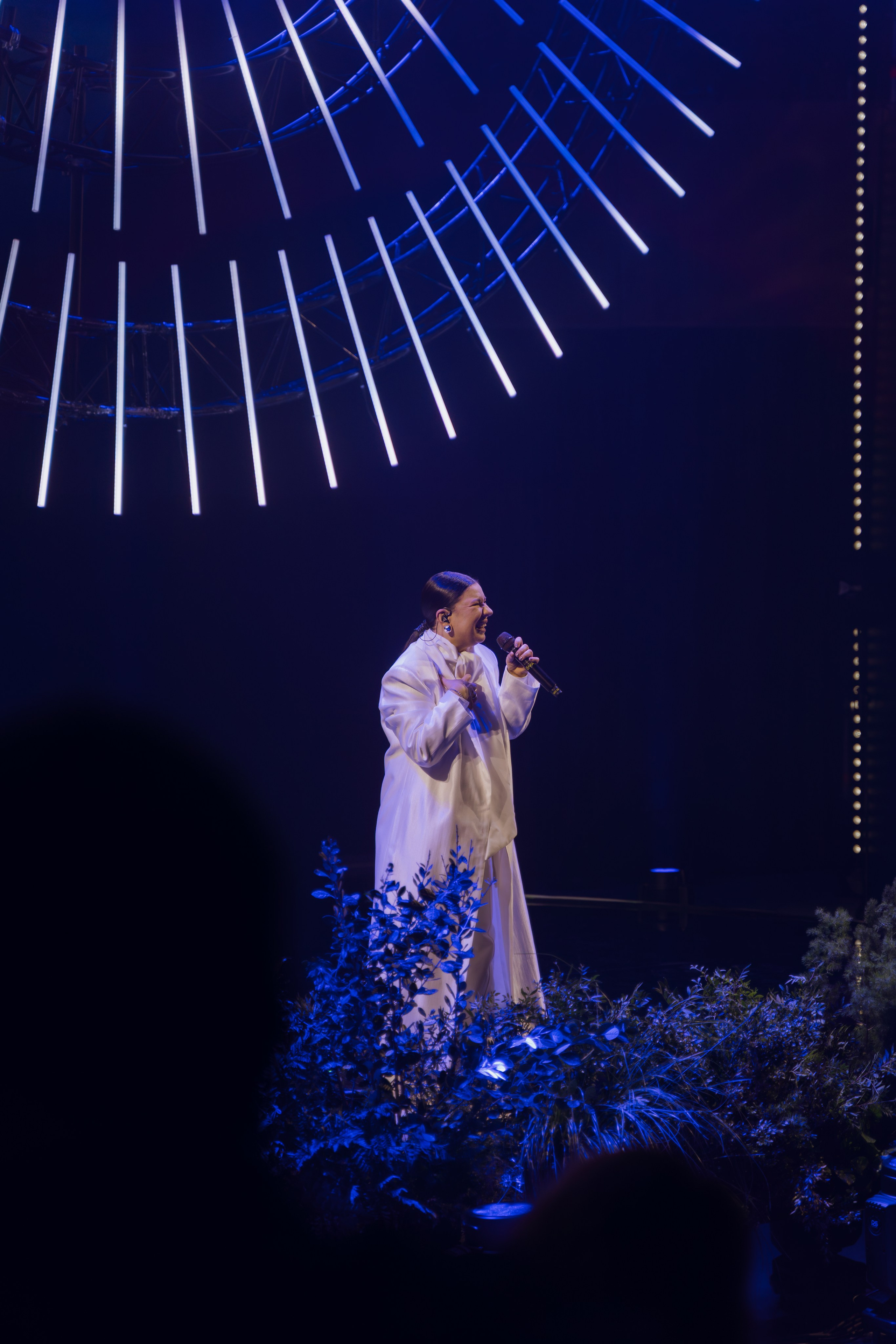 Профразвитие 1 декабря. Фотограф Надежда Погребняк | Рязань | Москва