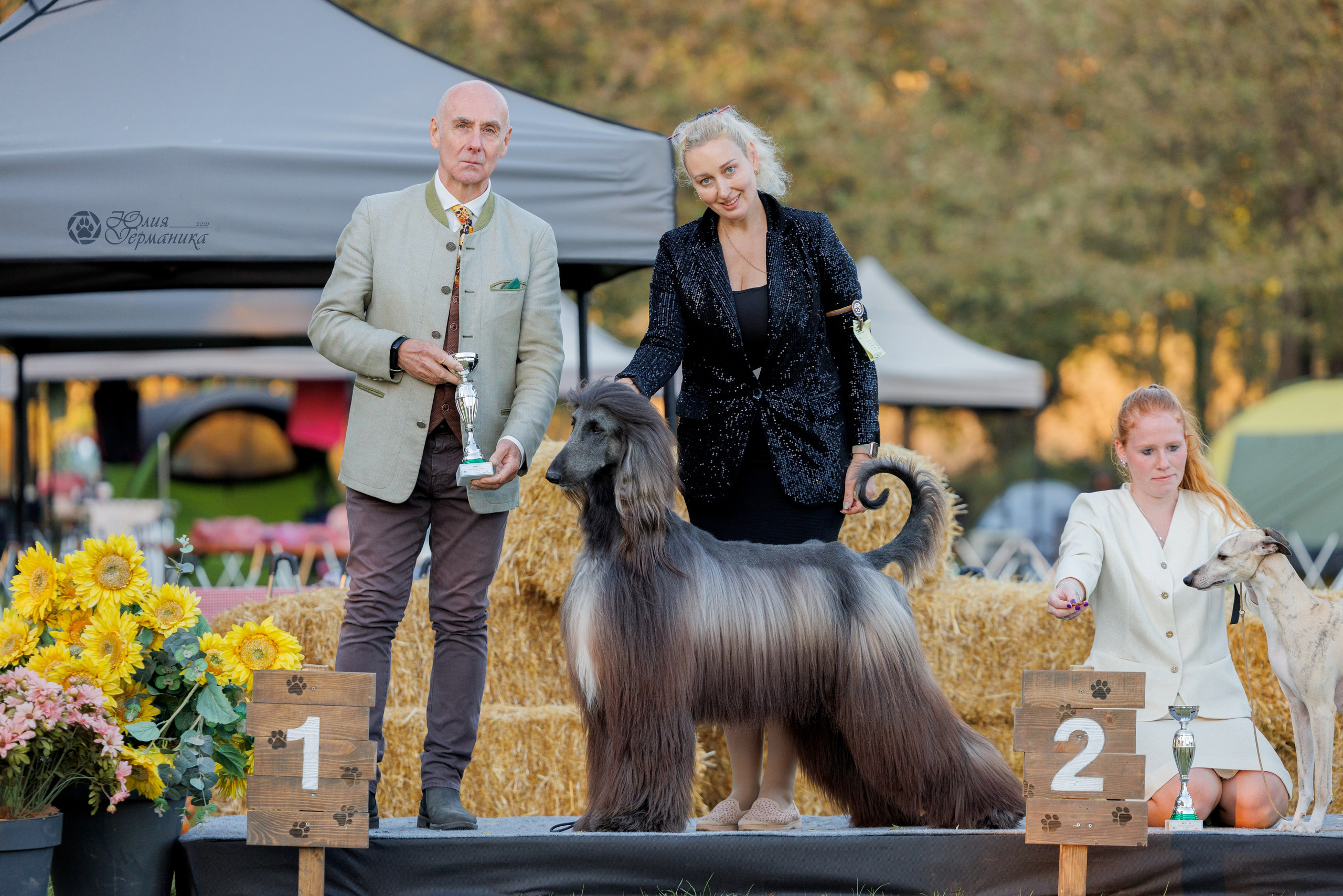 Туция,Стамбул 2хCACIB 26-27.10.24. Фотограф-анималист Юлия Германика