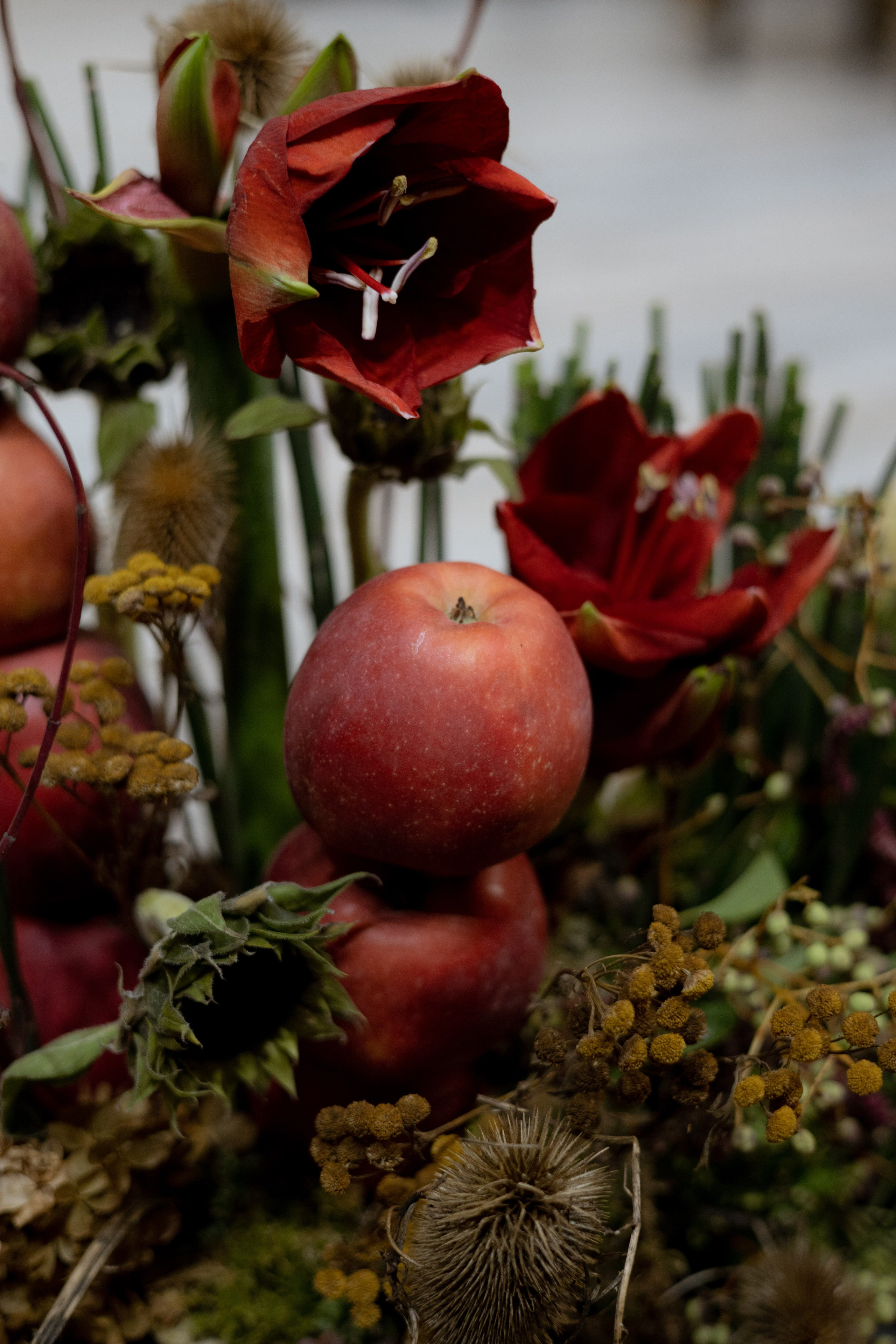 Оформление IX Международного конкурса пианистов имени Д. Д. Шостаковича. Оформление свадеб, декор свадеб Вера Маркова, Москва