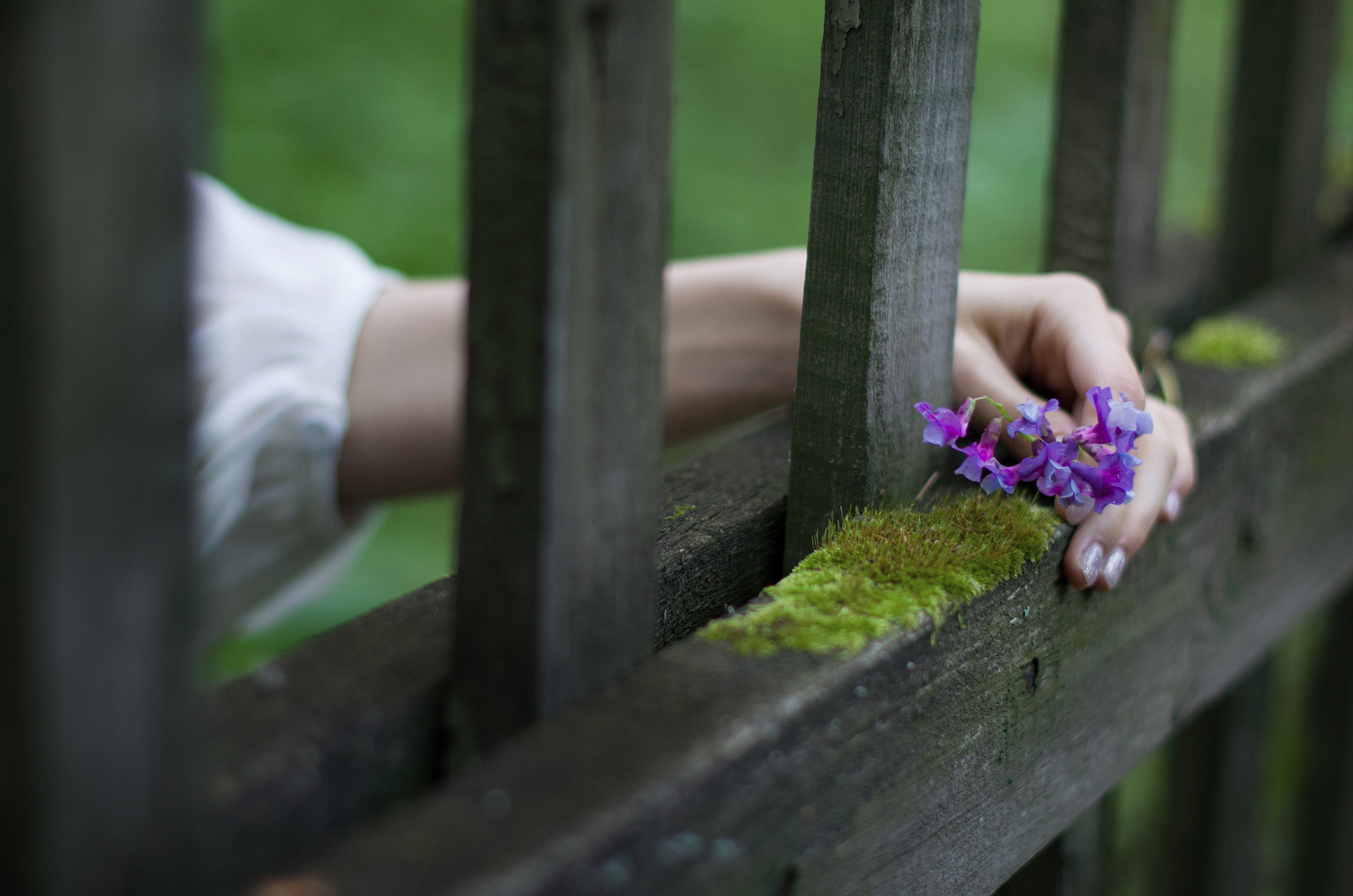 Фотосессия в сосновом лесу. Портретный и семейный фотограф в Новосибирске Екатерина Камышникова