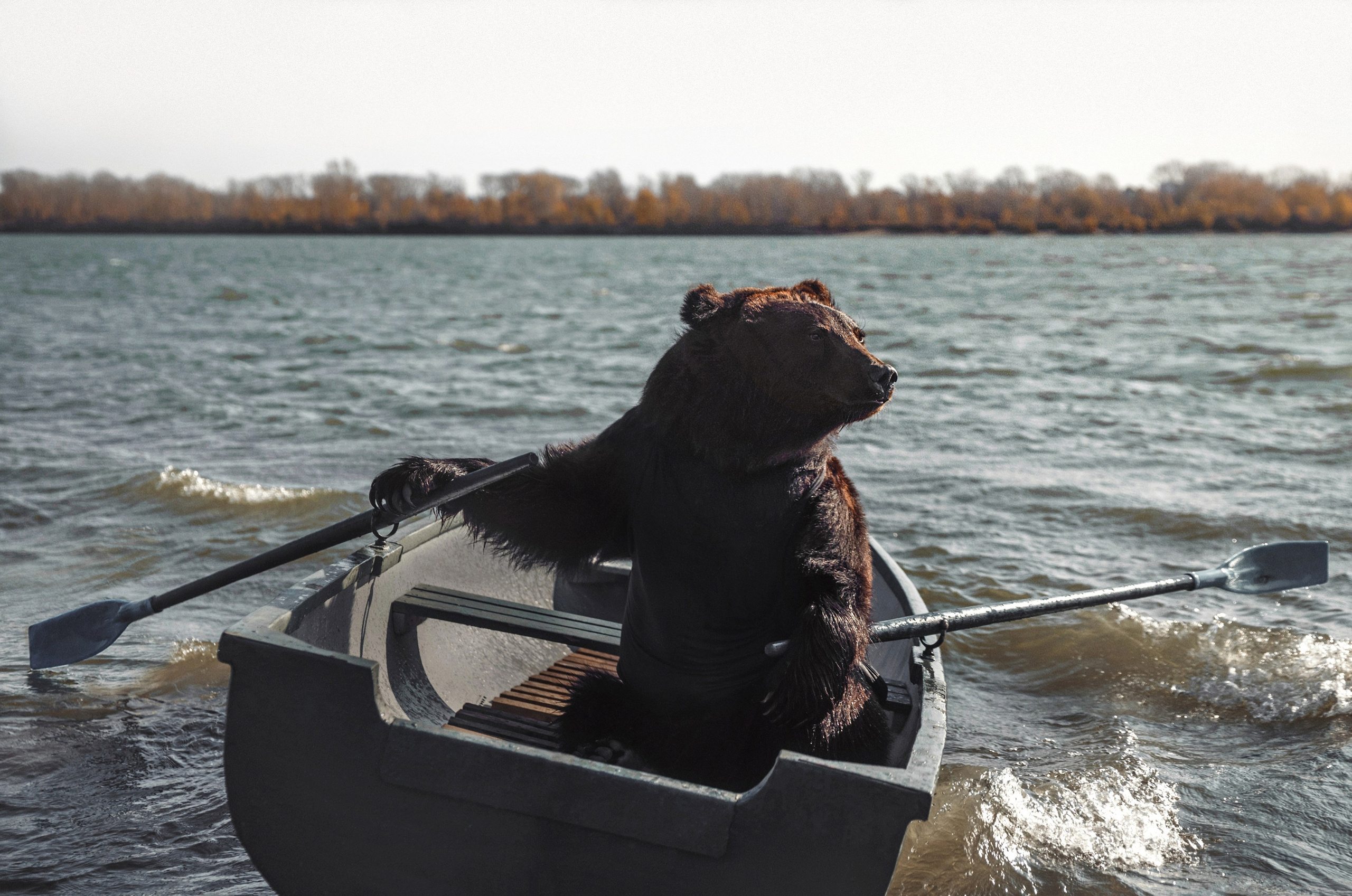 Animals and pets. Visual artist Olga Burmistrova