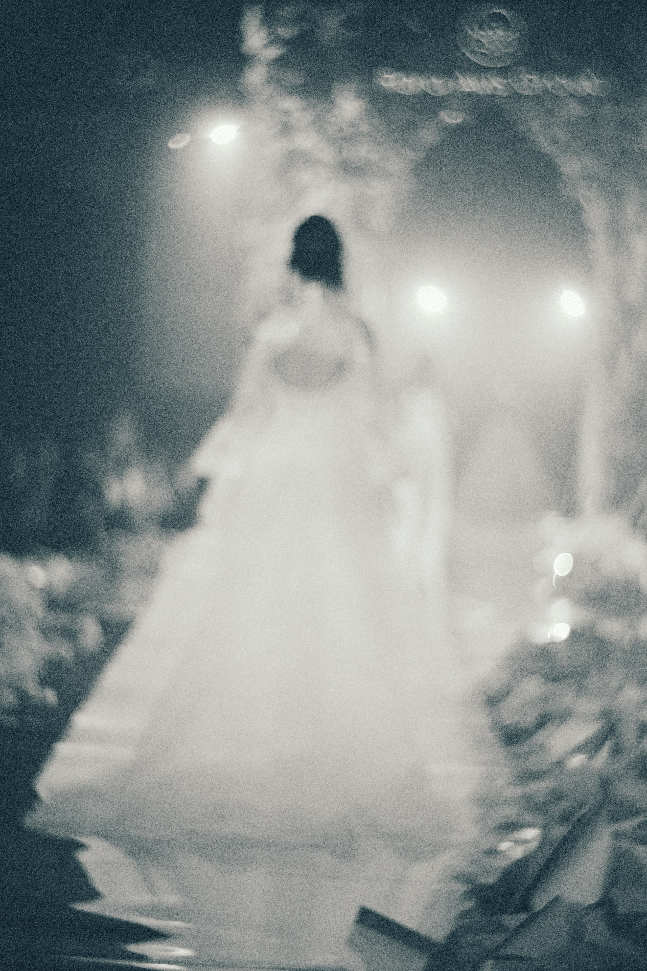 Rara Avis Fashion Show 2026. Fusion Wedding Photographer