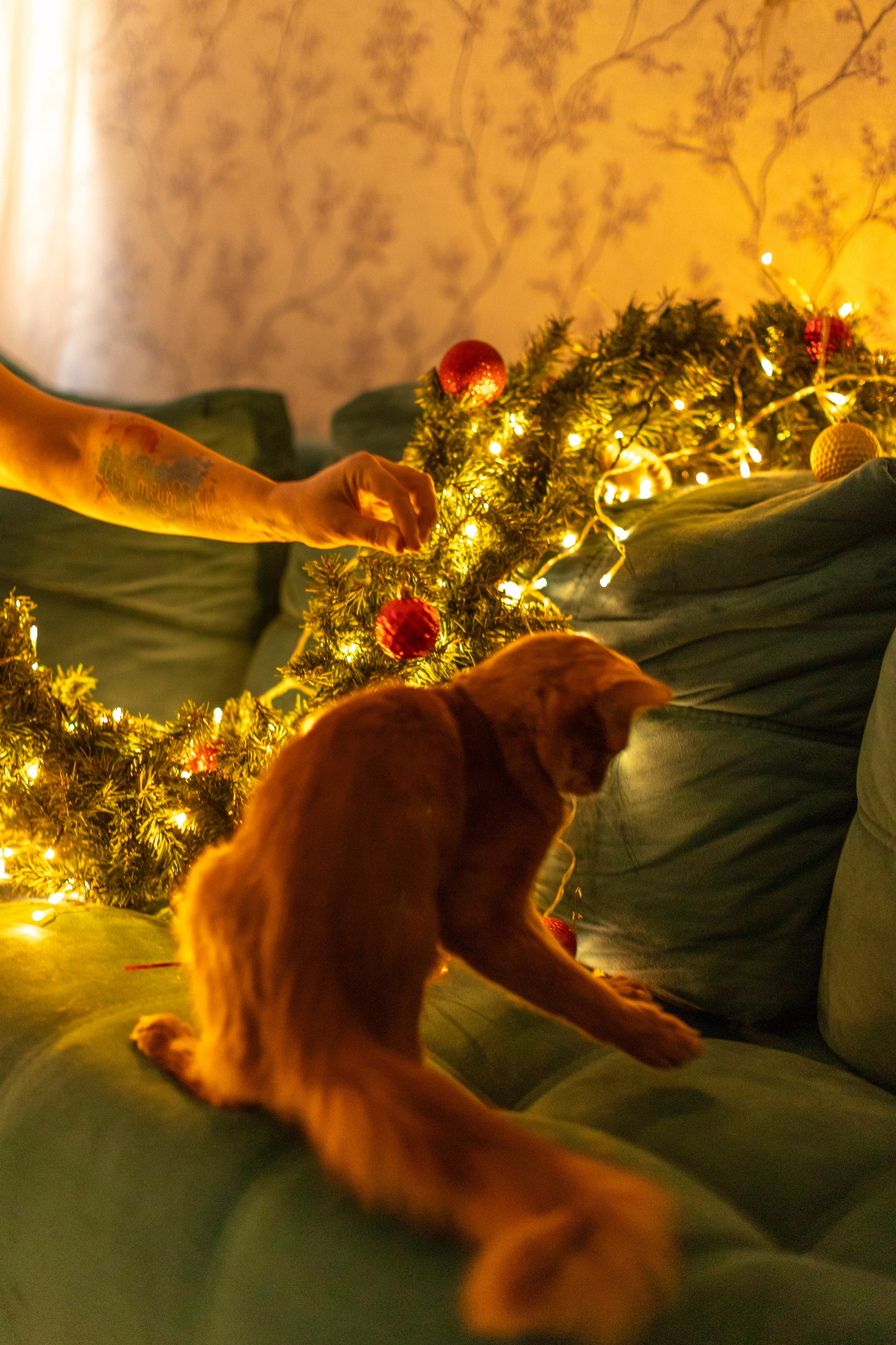 Сомали. Art my Pho