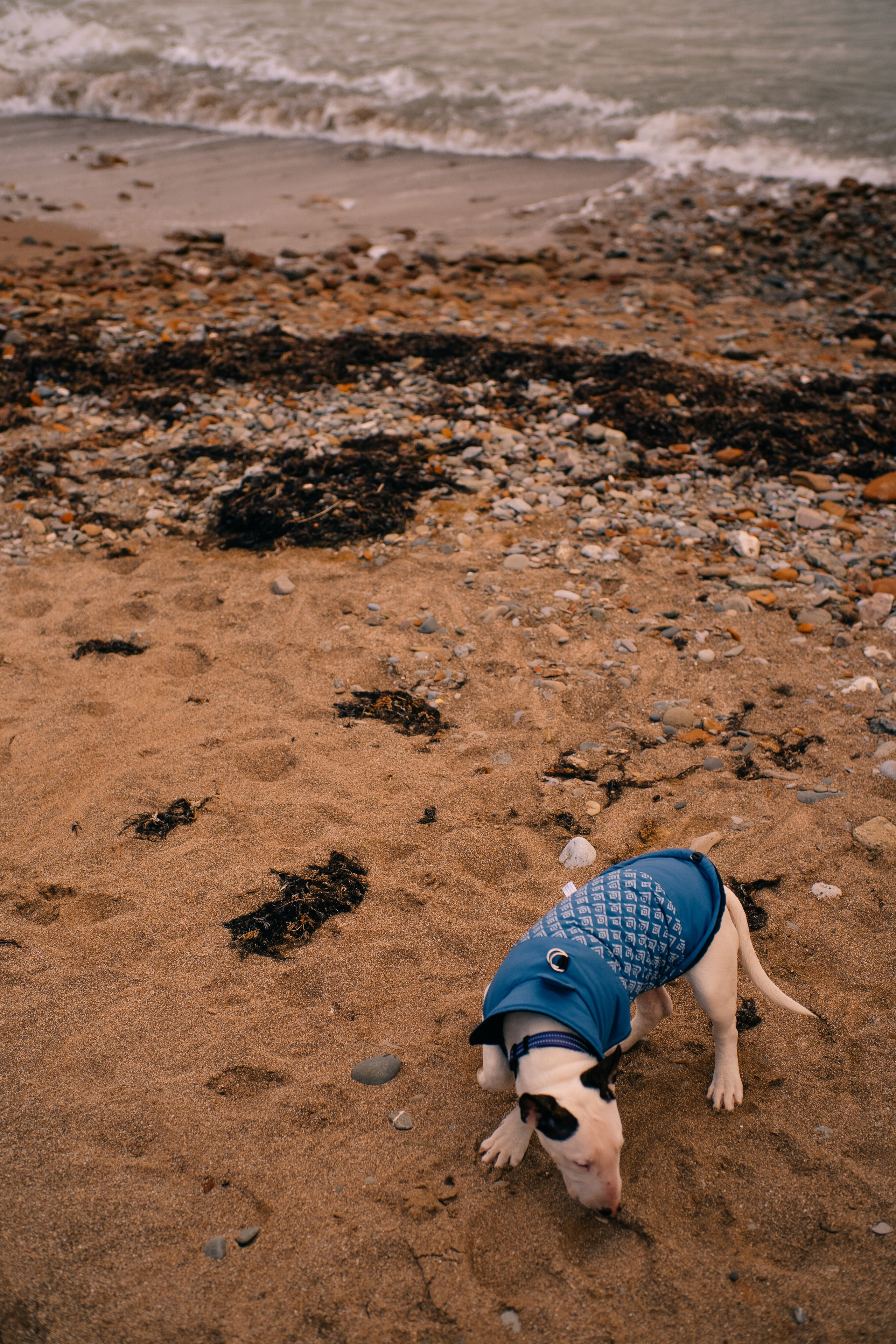 Сиреневые горы. Фотограф в Москве и МО Влада Обласова