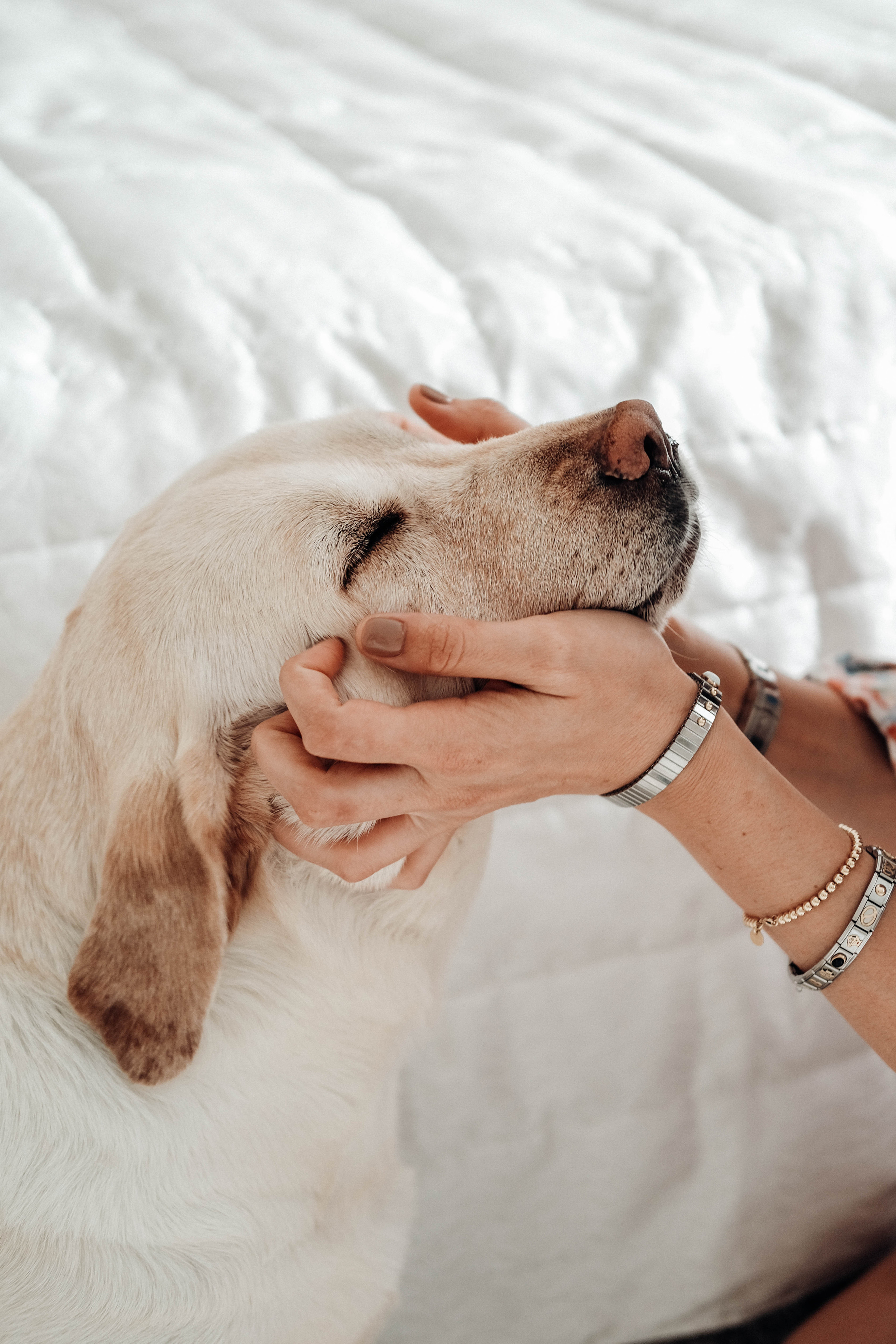 Ольга Калашникова. Arinazaletova