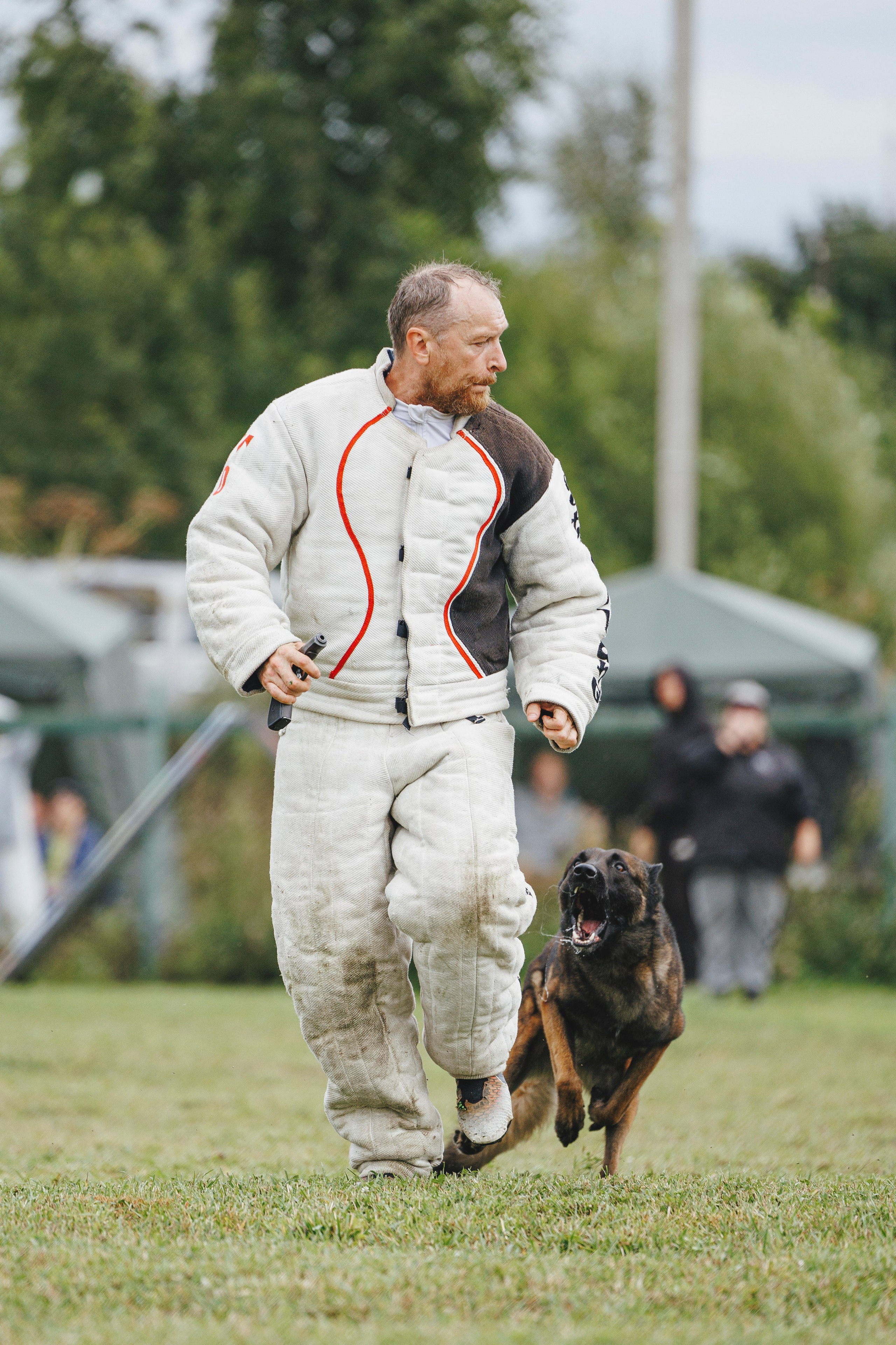 08.08.25-10.08.25 ЧР по мондьорингу г. Вологда. Фотограф-анималист Анна Маринич