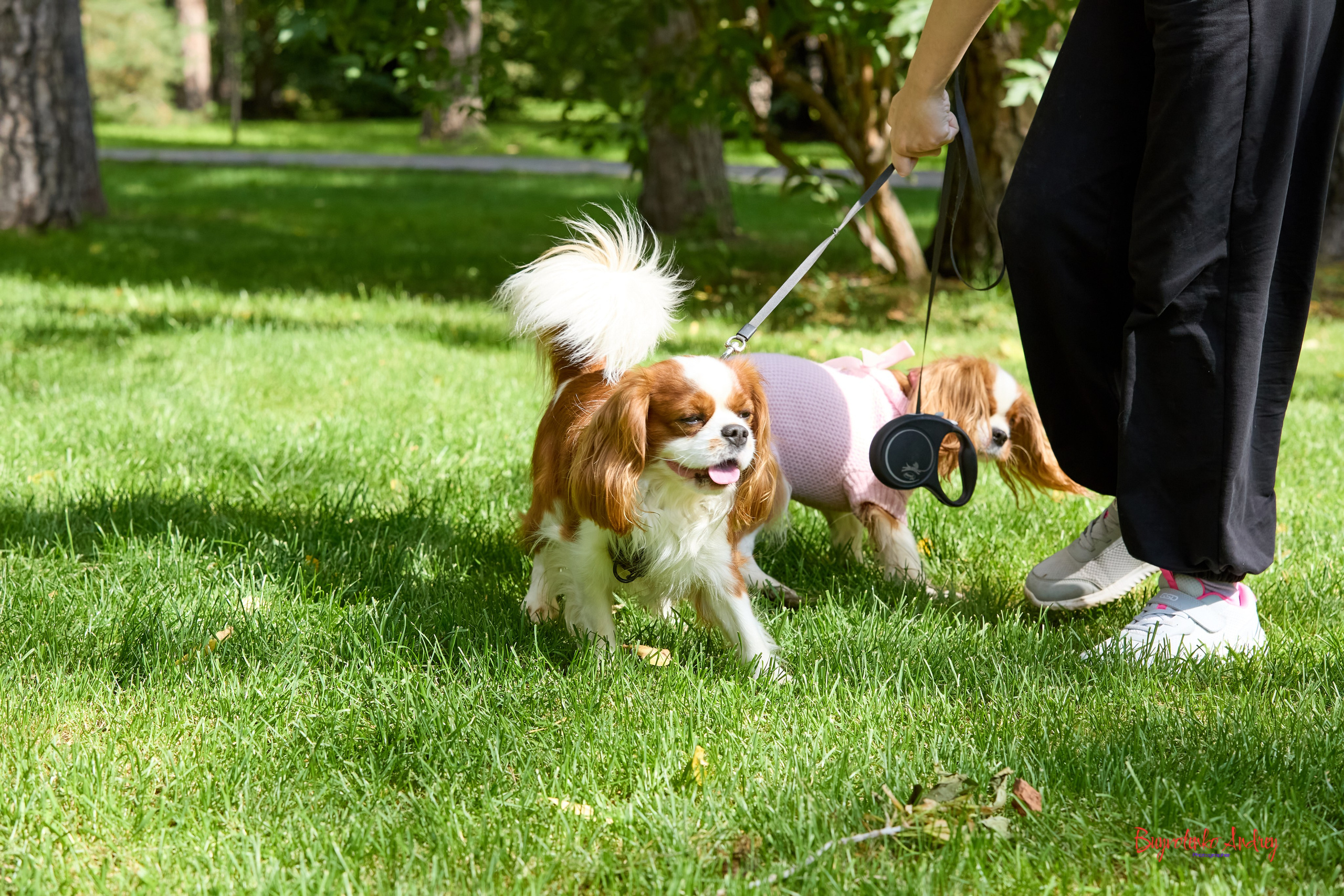 Фотопрогулка с кавалерами. Buyvolenko Andrey