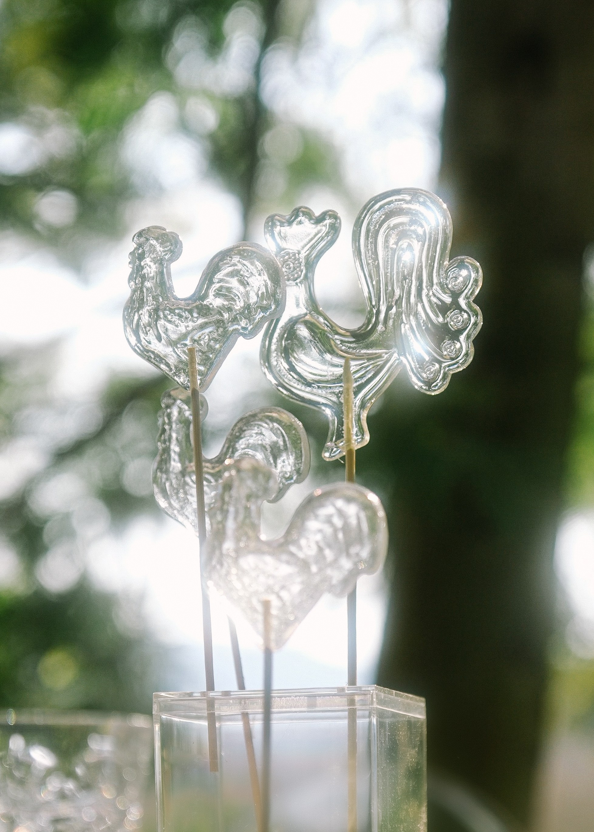 Русская Душа. Свадебный Видеограф Фотограф в Сочи