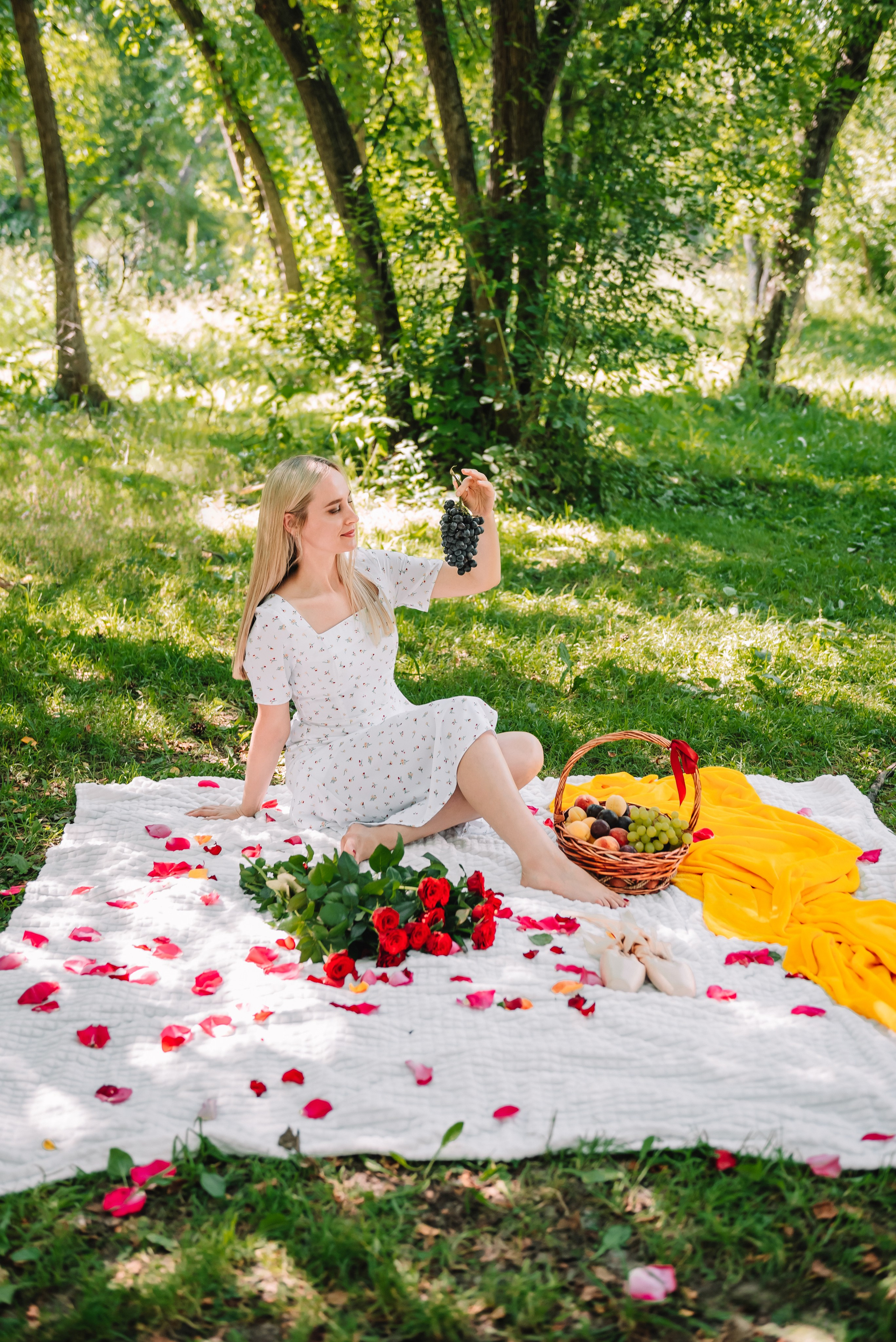 LEVITA (пикник)