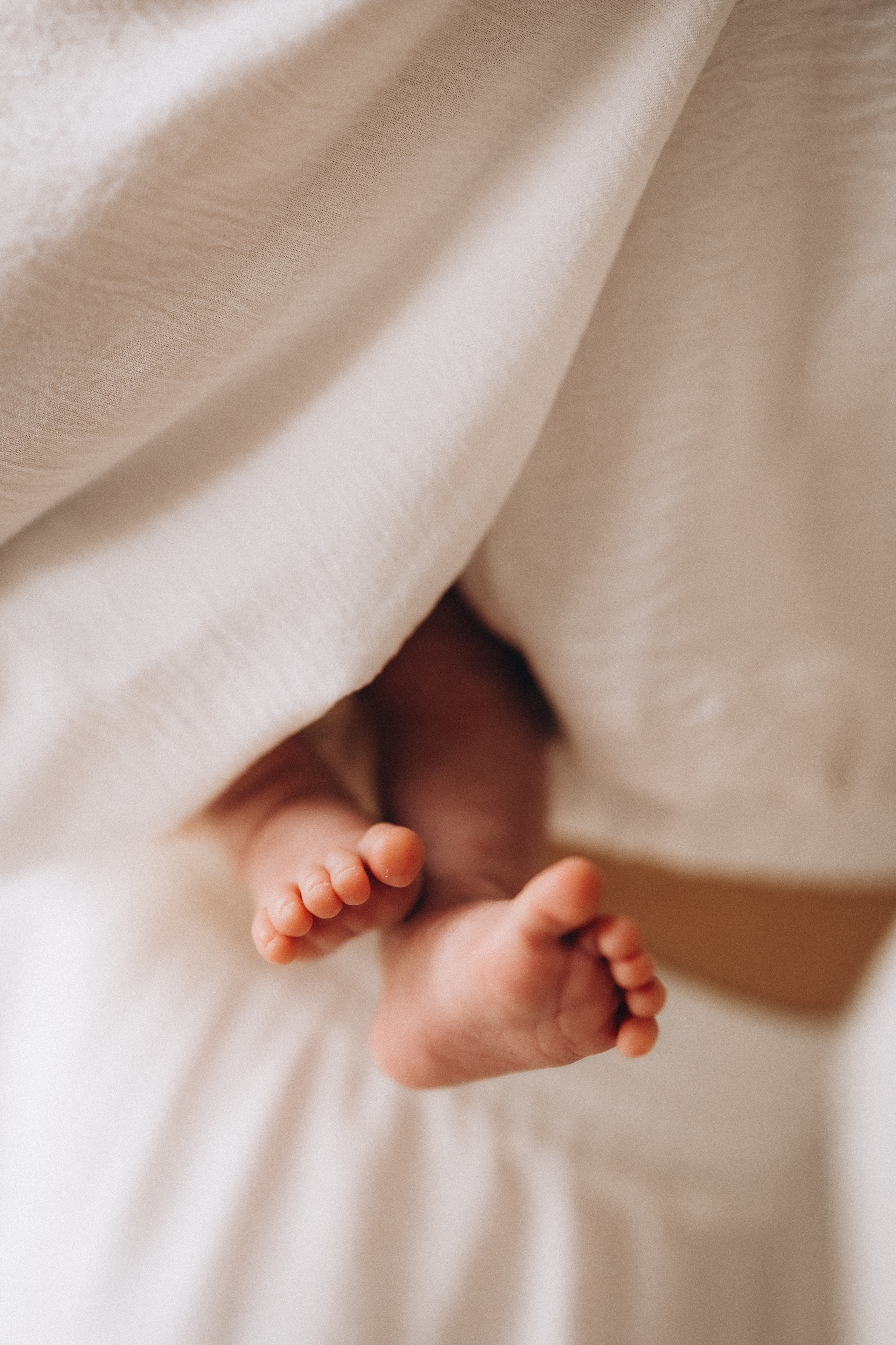 Тео. Евгения Пелипас