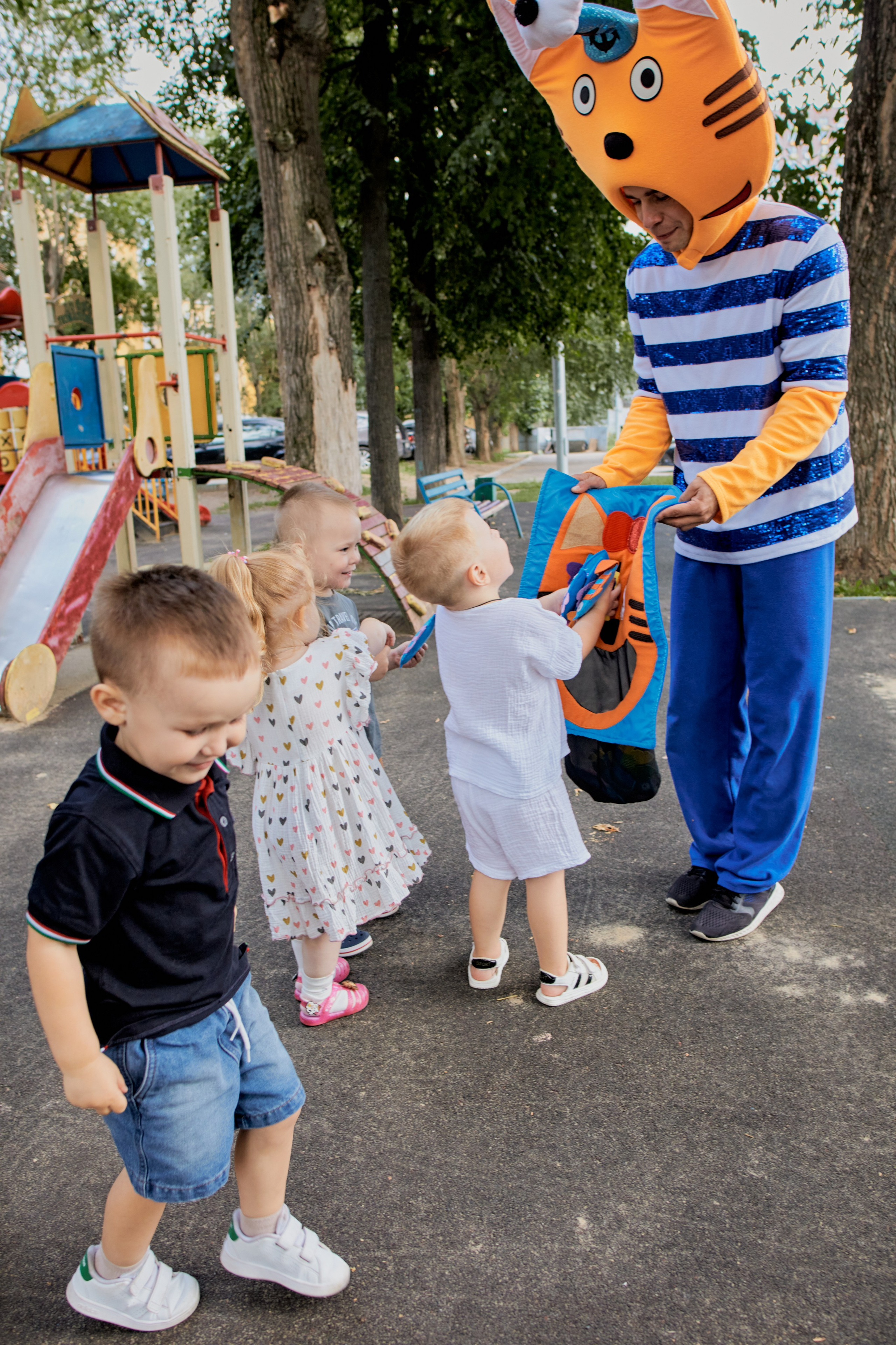 Три кота. Фотограф Москва