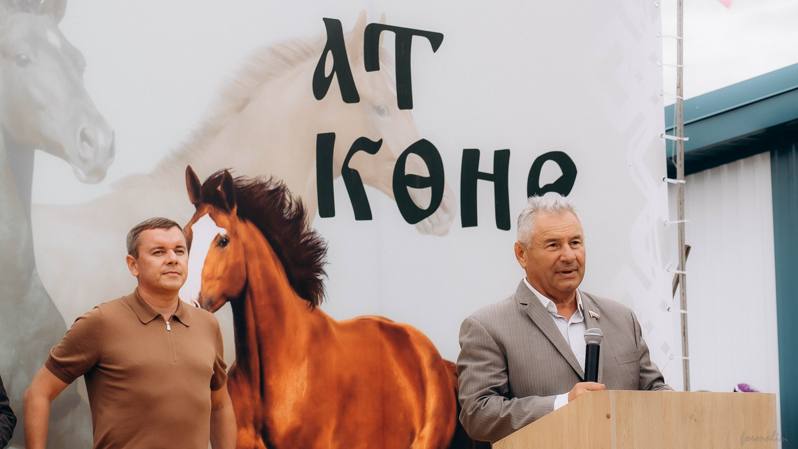 День Коня. Алиса Никитцова | Фотограф в Казани