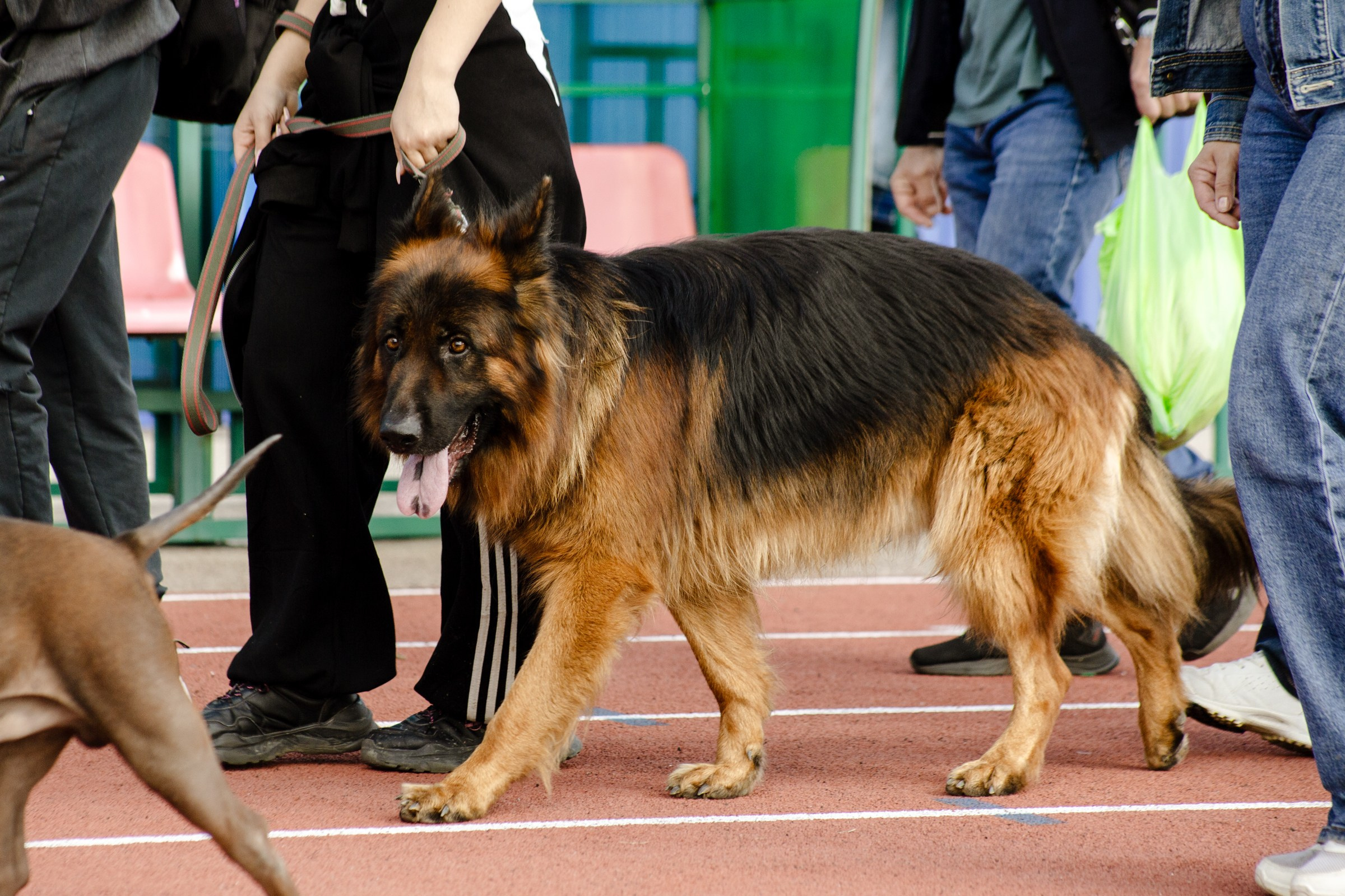 День города Усолье-Сибирское 2024. Фотограф в Иркутске Евгения Айвазова