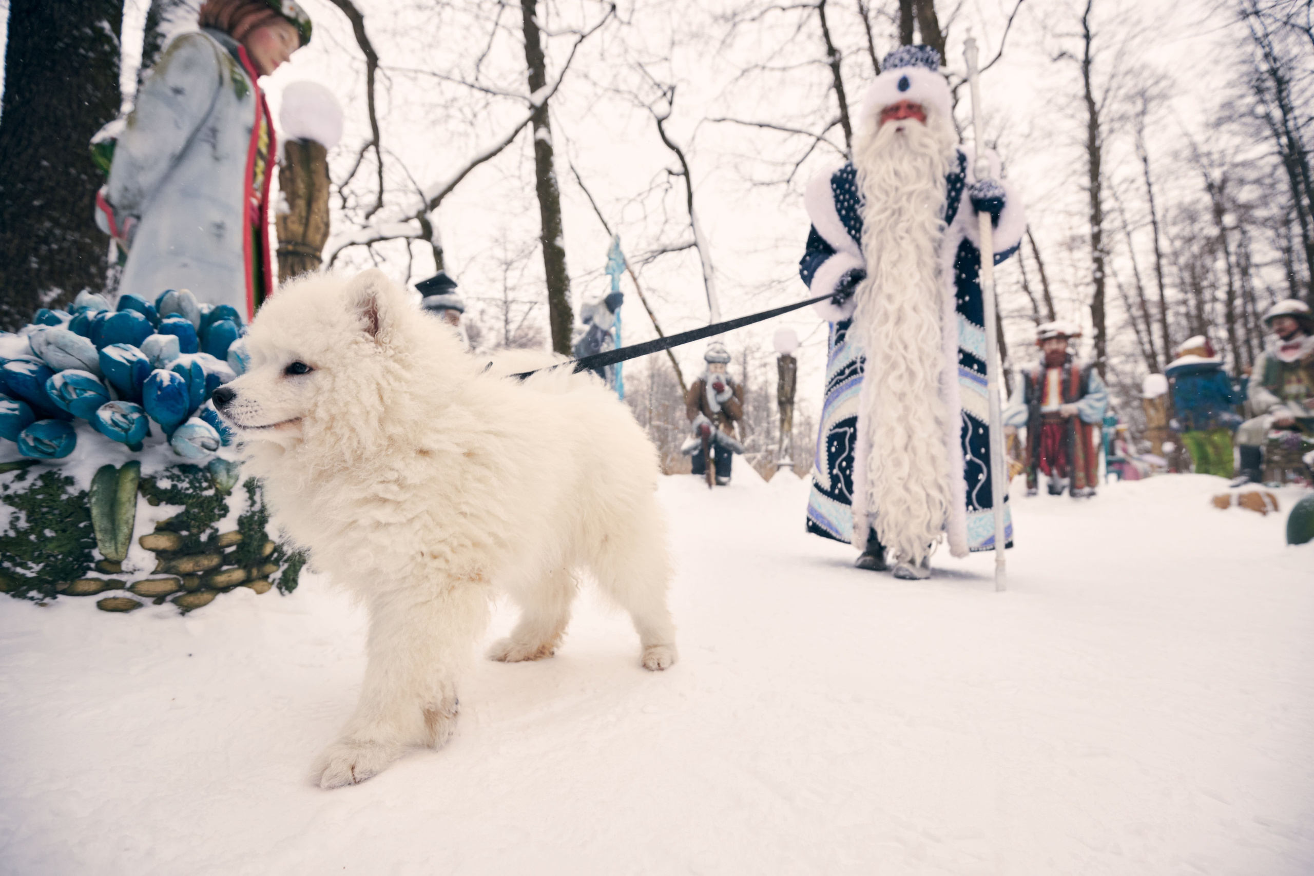Дед Мороз с Платоном. Никита Хохловский фото и видео продакшн