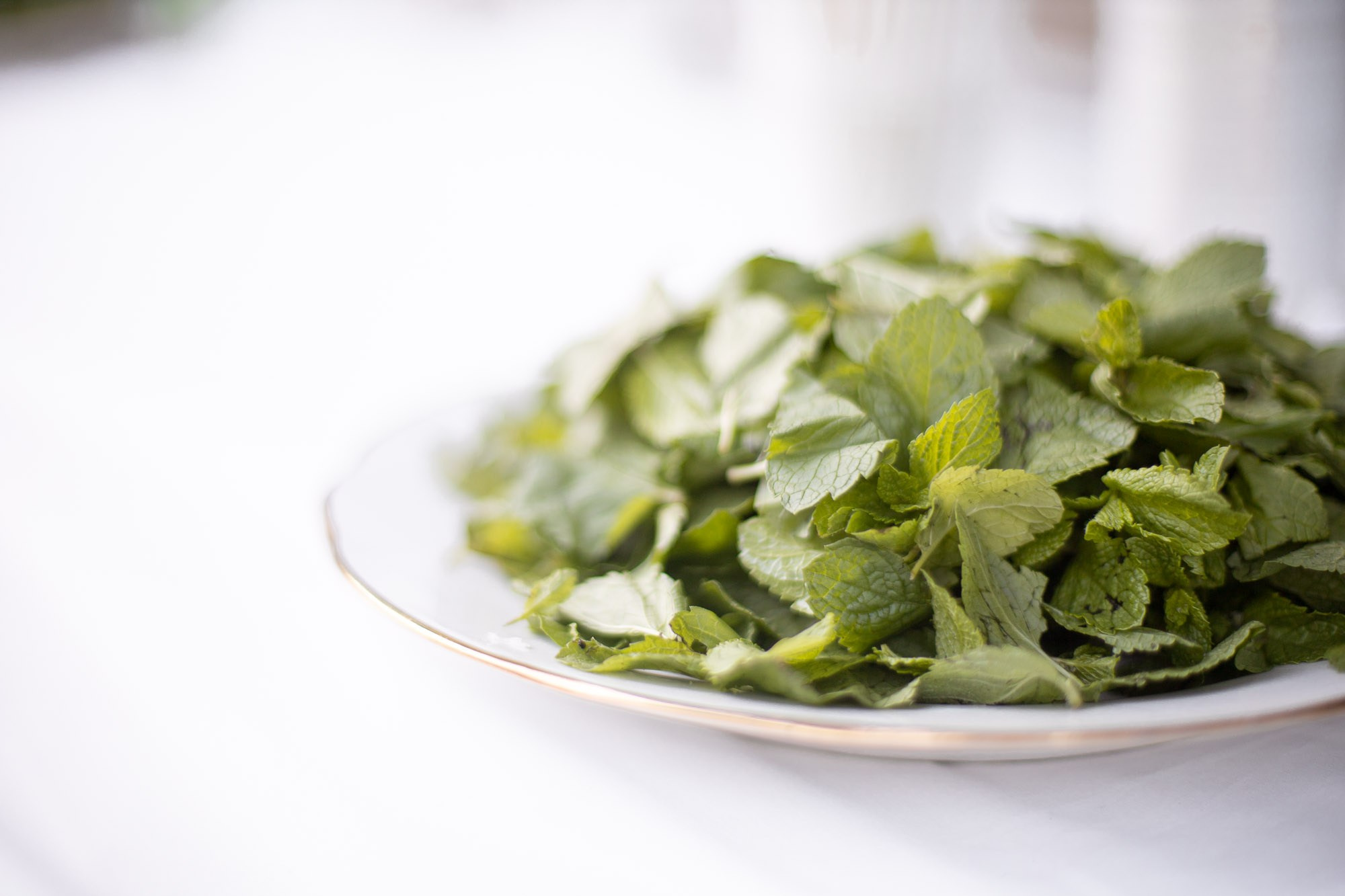 Белый ужин. SaGaFOTO.ru