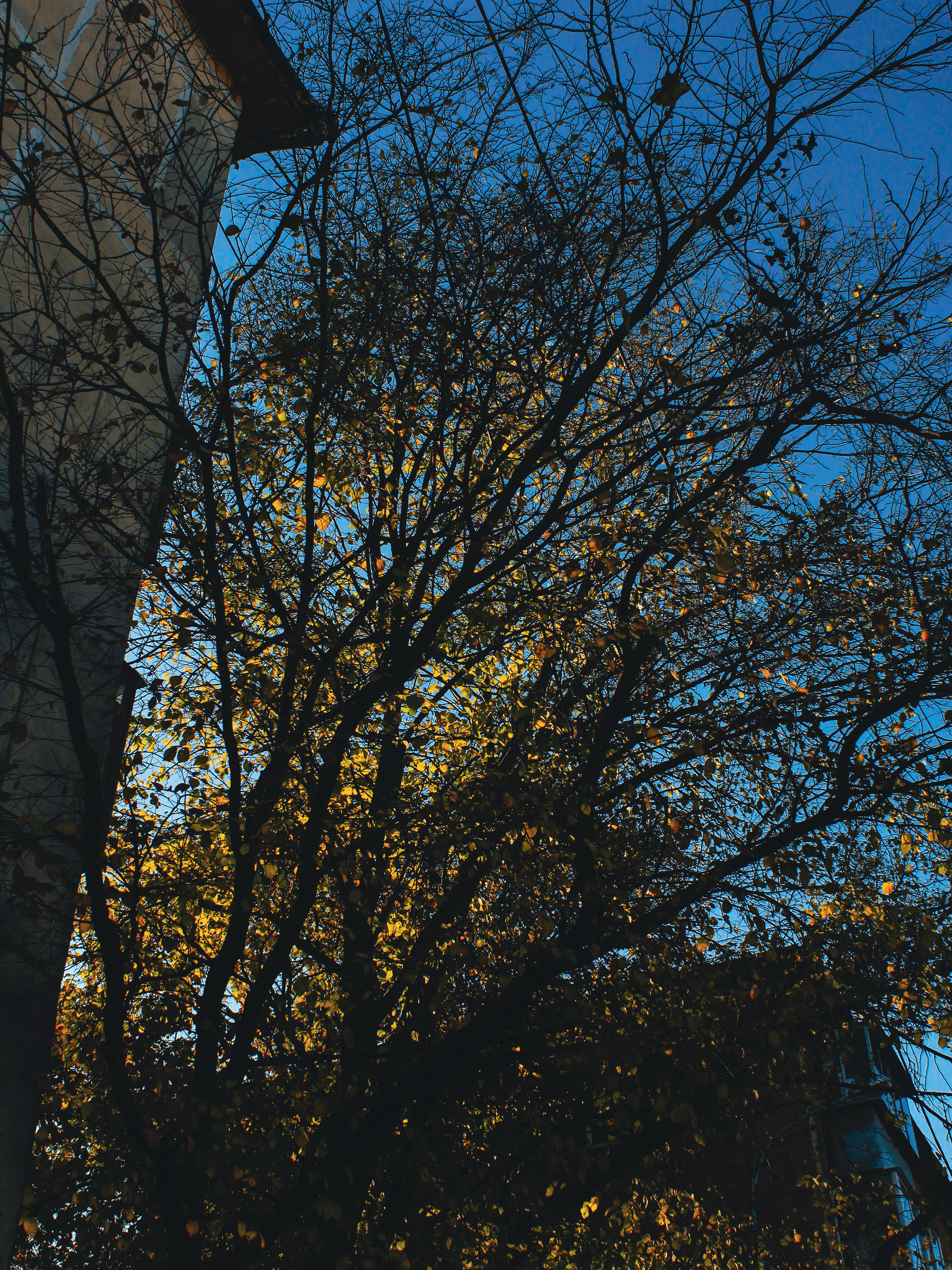 Shades of autumn. Фотограф/дизайнер в Екатеринбурге Хитрый Дмитрий