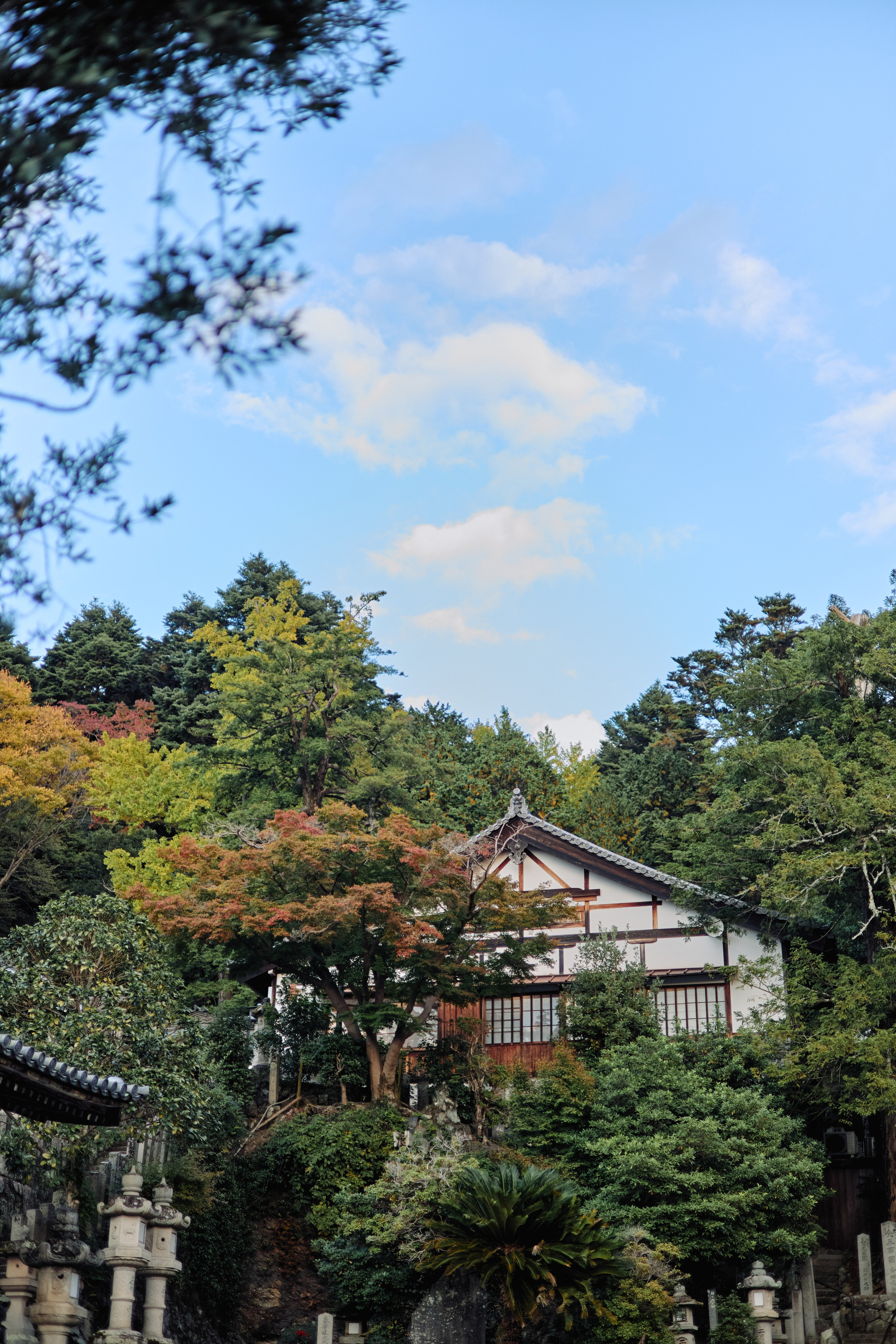Япония. Профессиональный Фотограф во Владимире, в Москве и в Суздале — Полина Романычева