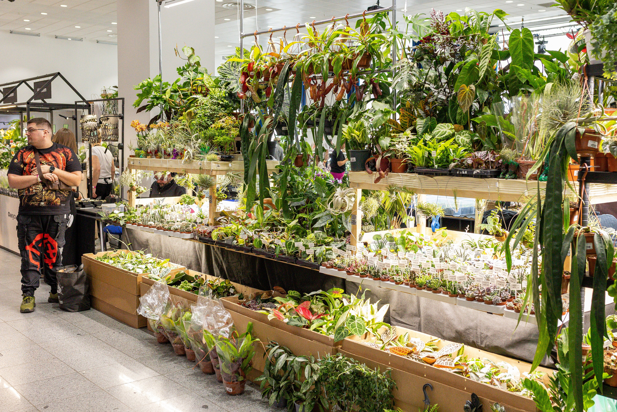 Монстериум апрель 2025. Александра Куликова фотограф, Москва