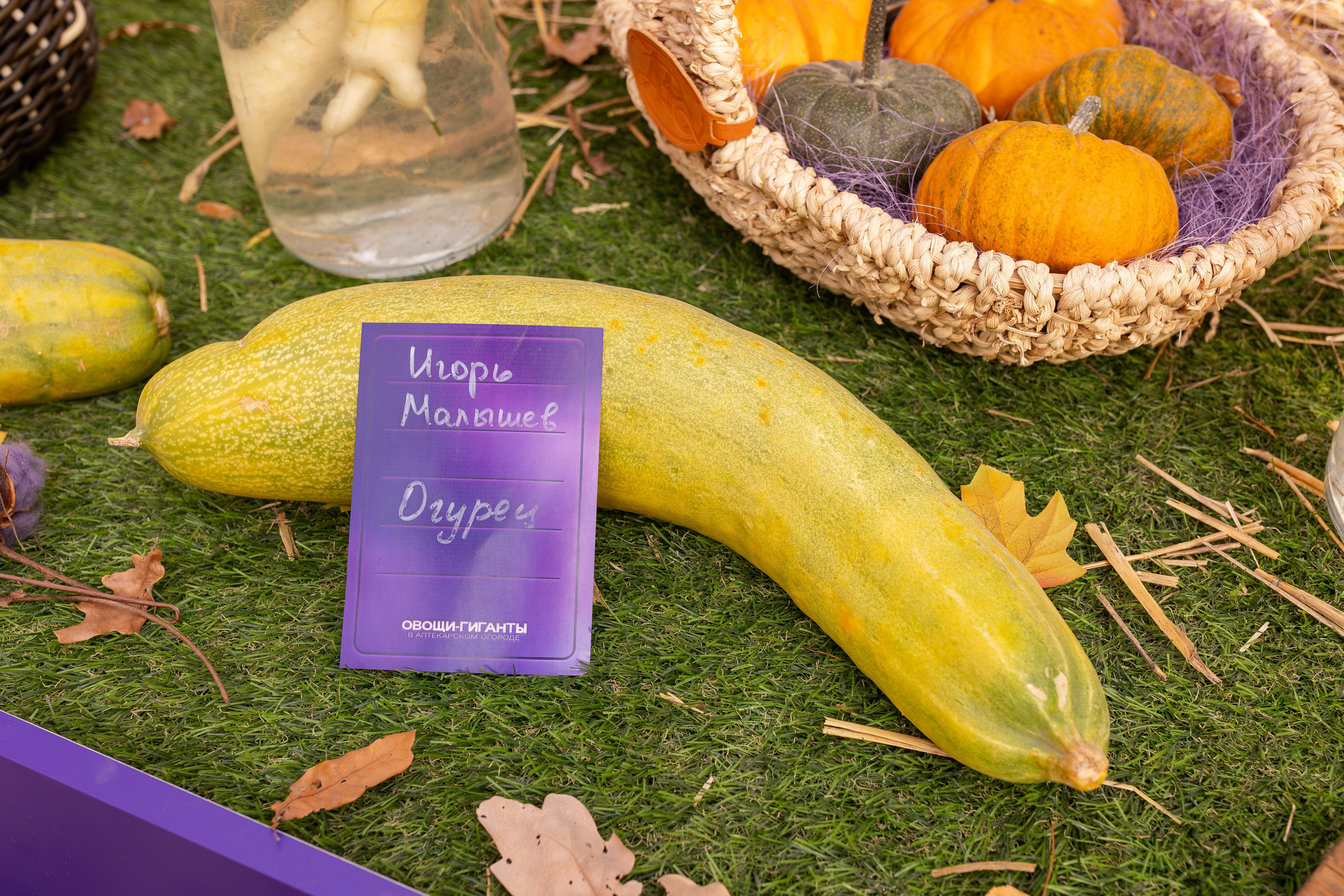 Овощи-гиганты. Александра Куликова фотограф, Москва