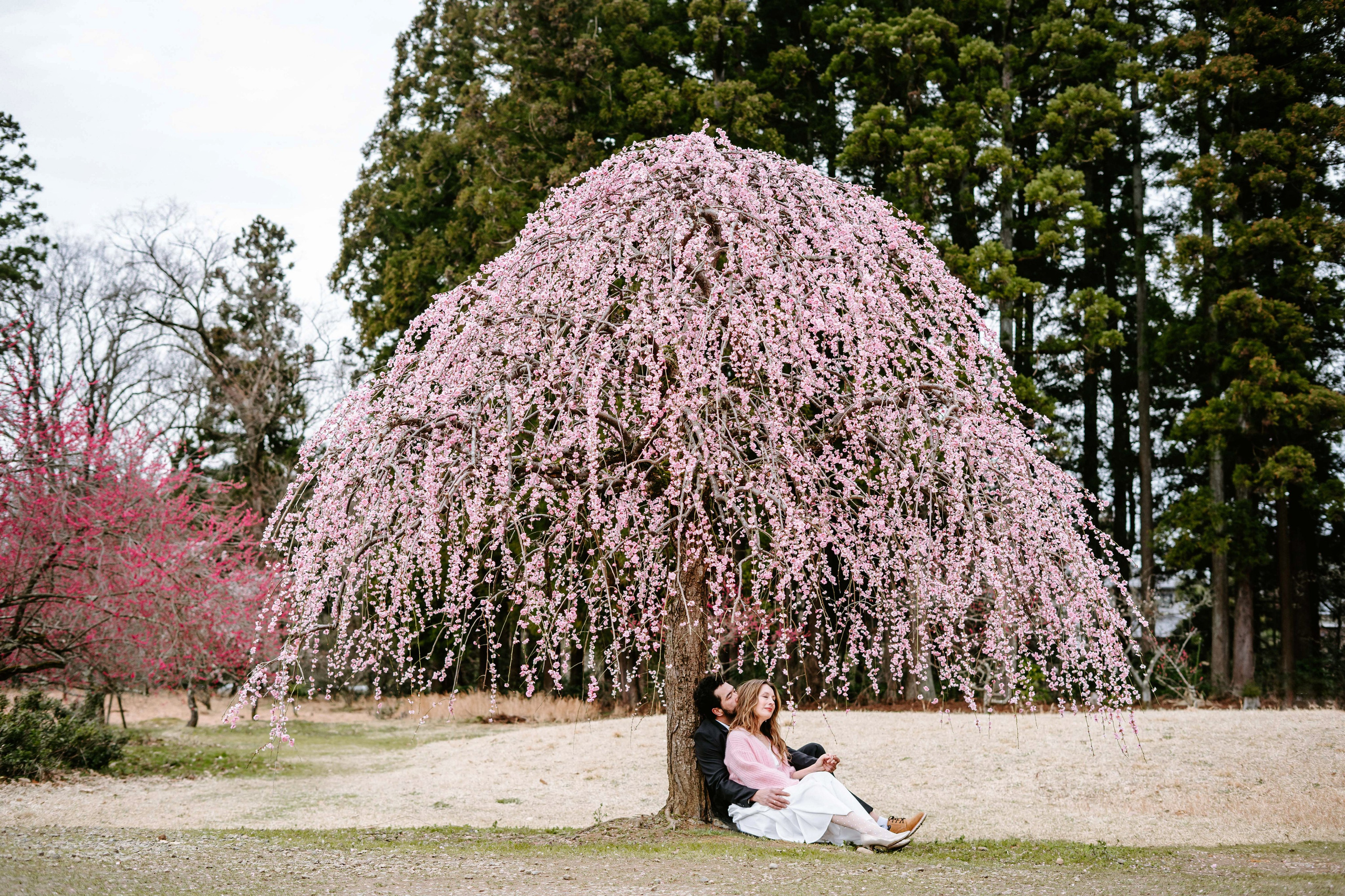 Юлия и Вильям. Портретный фотограф в Томске Наташа Барова
