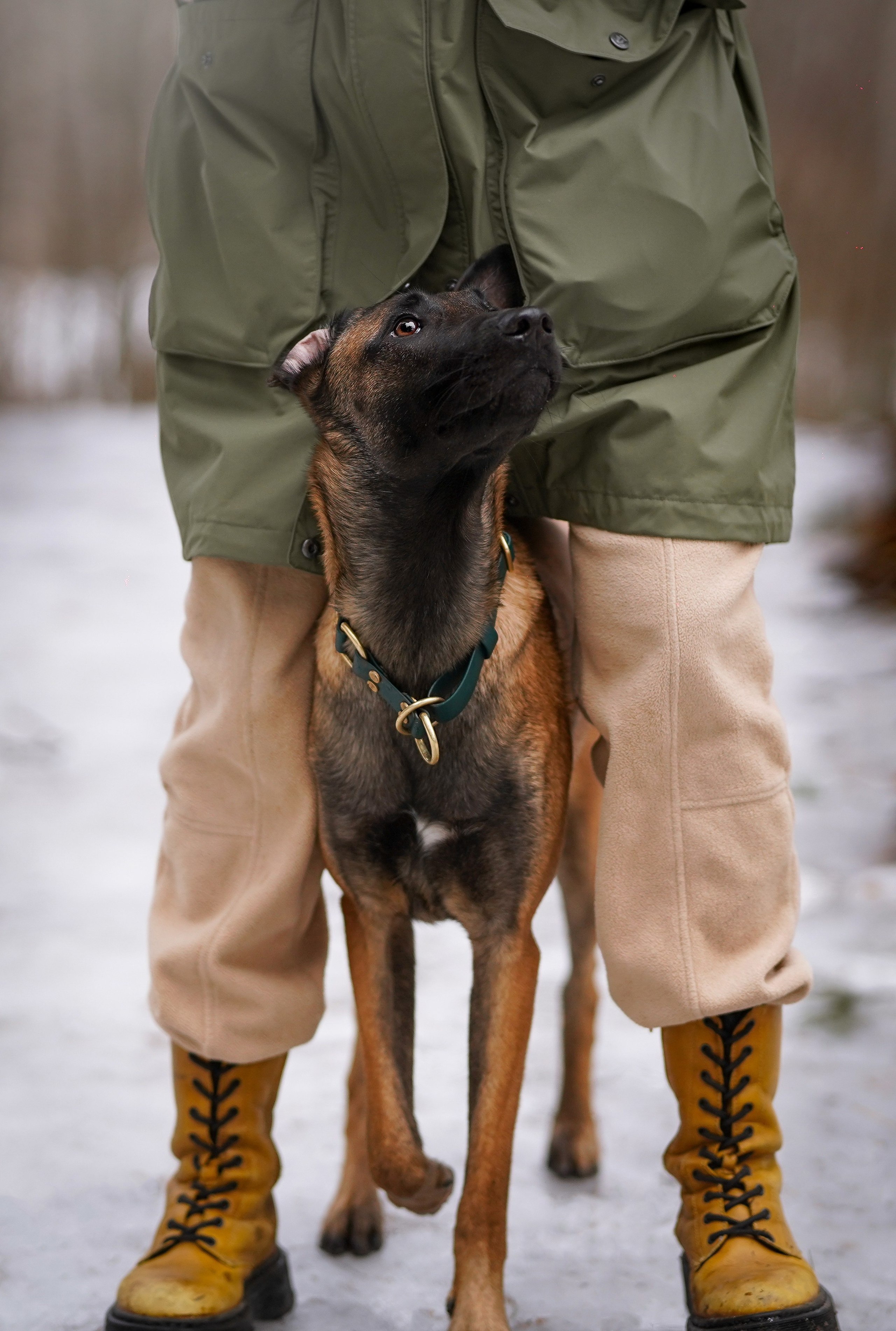 Панда и Эста. Фотограф-анималист в Санкт-Петербурге Яна Мартынова