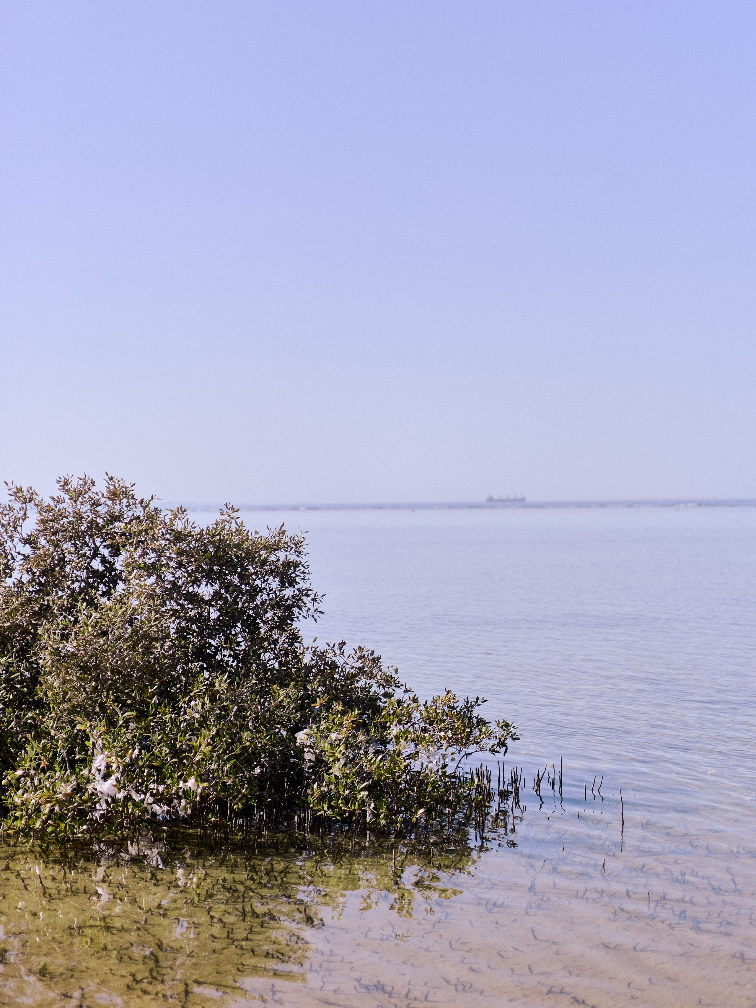 Диптих. Jorgis — фотограф в Хургаде / обучение фотографии