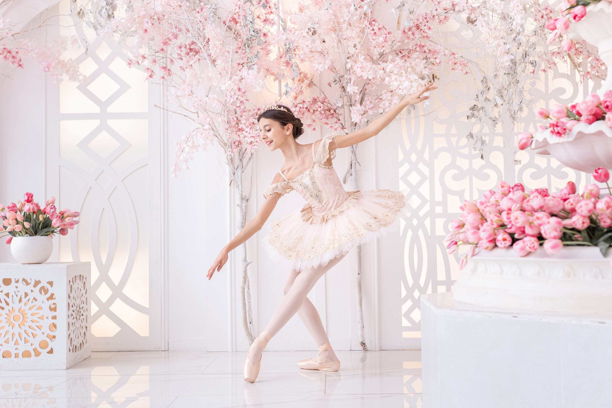 Балетная съёмка в интерьере. Балетный фотограф Алина Ханько — Душа Балета