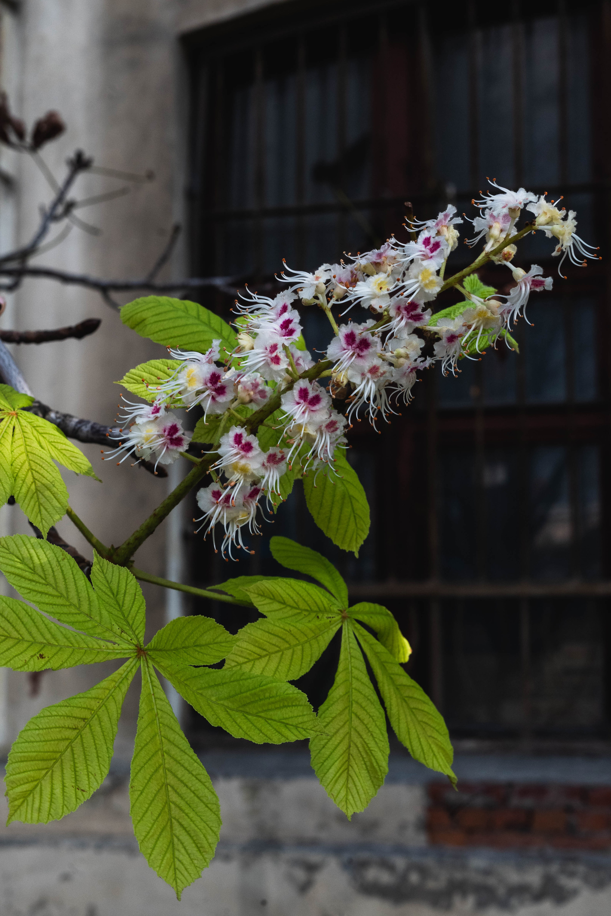 Питер невозможно не любить. Свадебный и семейный фотограф в Новосибирске, Санкт-Петербурге, Москве