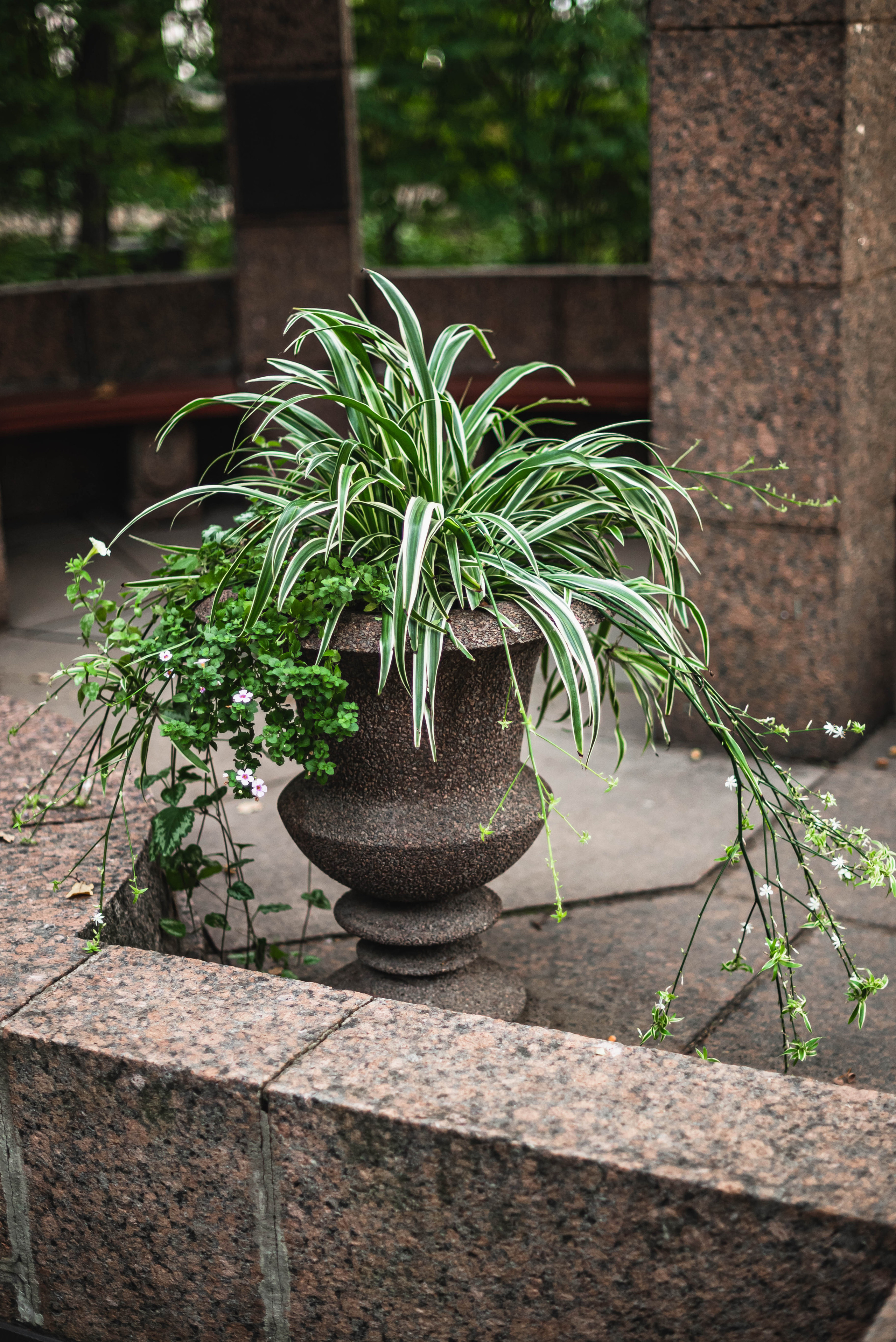 Питер невозможно не любить. Свадебный и семейный фотограф в Новосибирске, Санкт-Петербурге, Москве