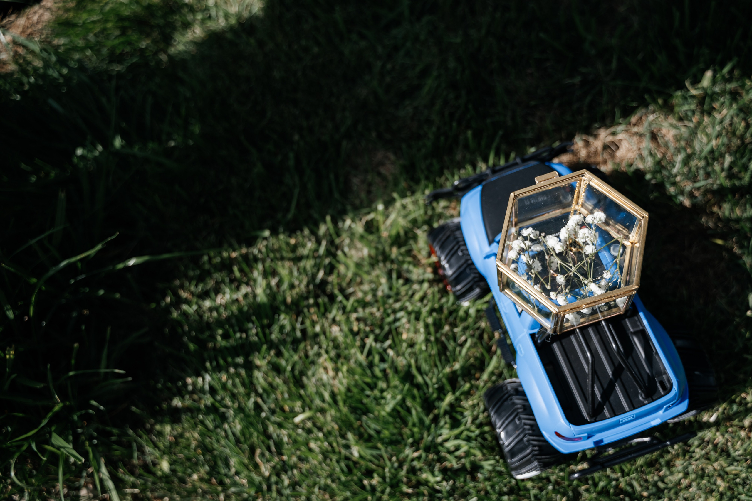 Роман и Полина. Свадебная  съемка на Алтае