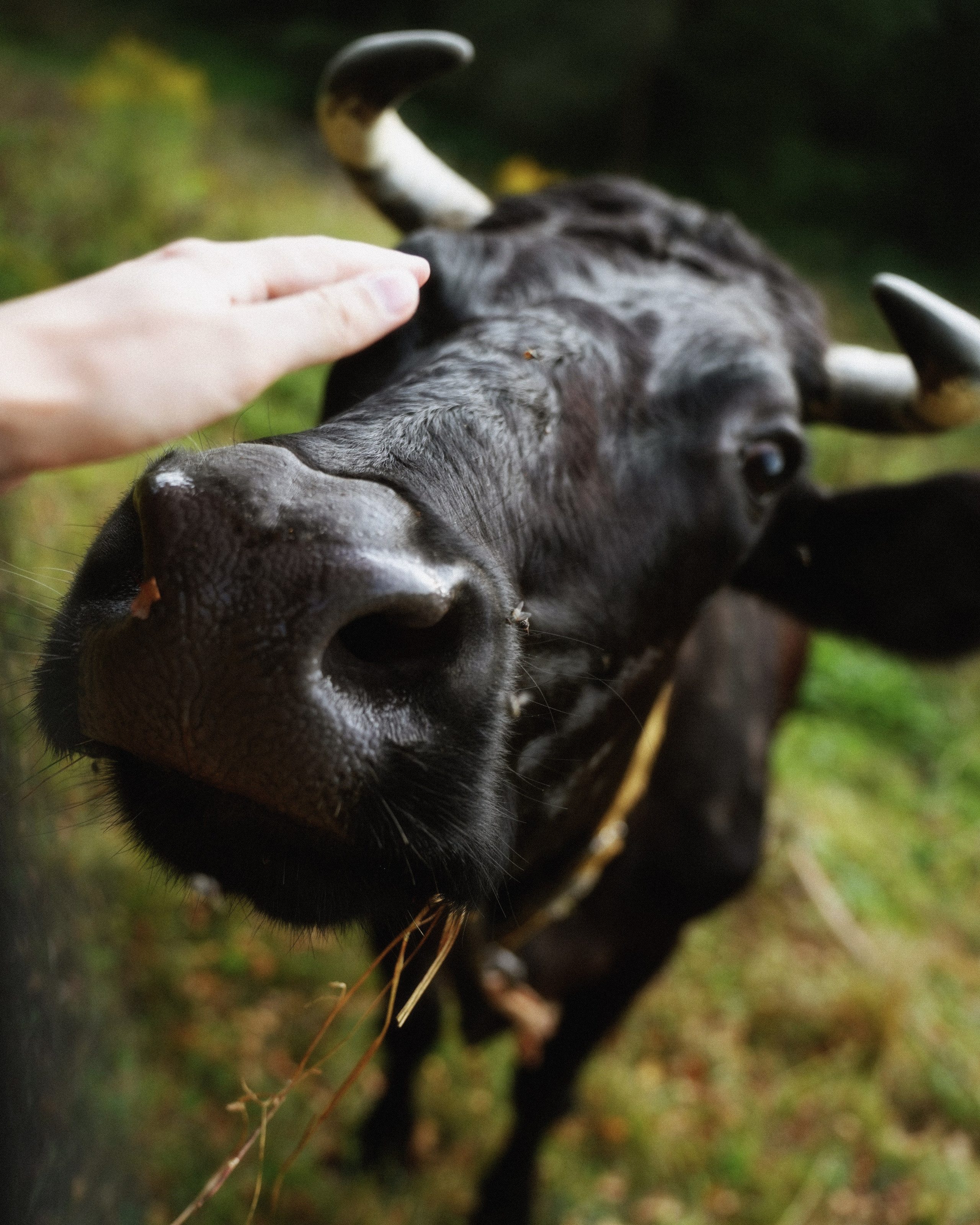 KALUGA. ANNA — PHOTOGRAPHER