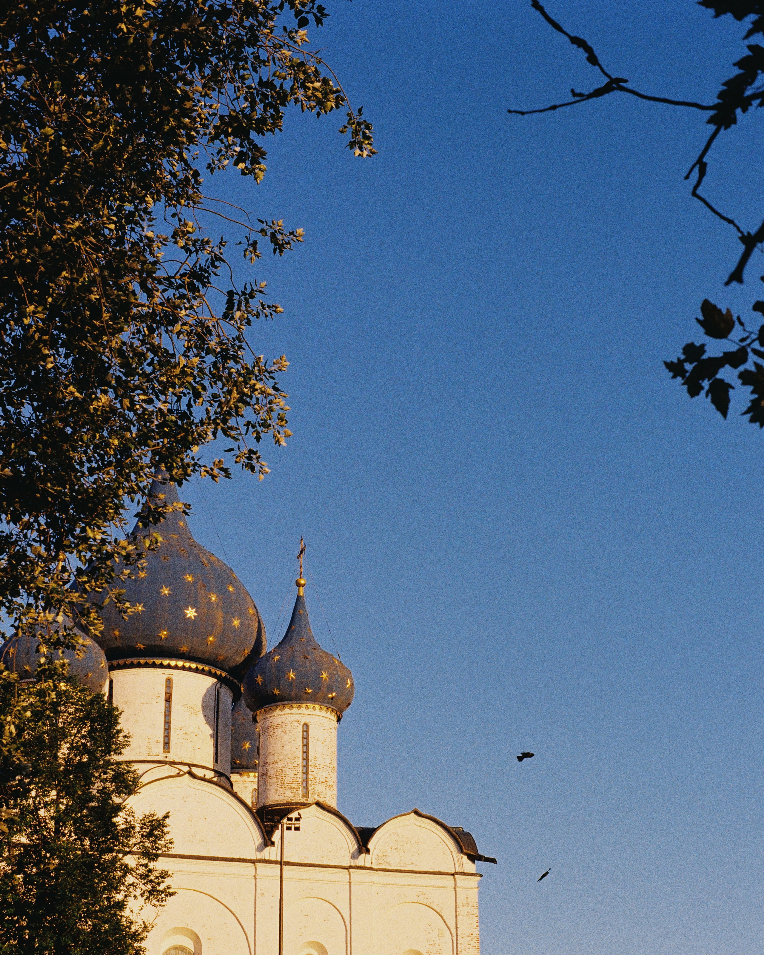 SUZDAL. ANNA — PHOTOGRAPHER