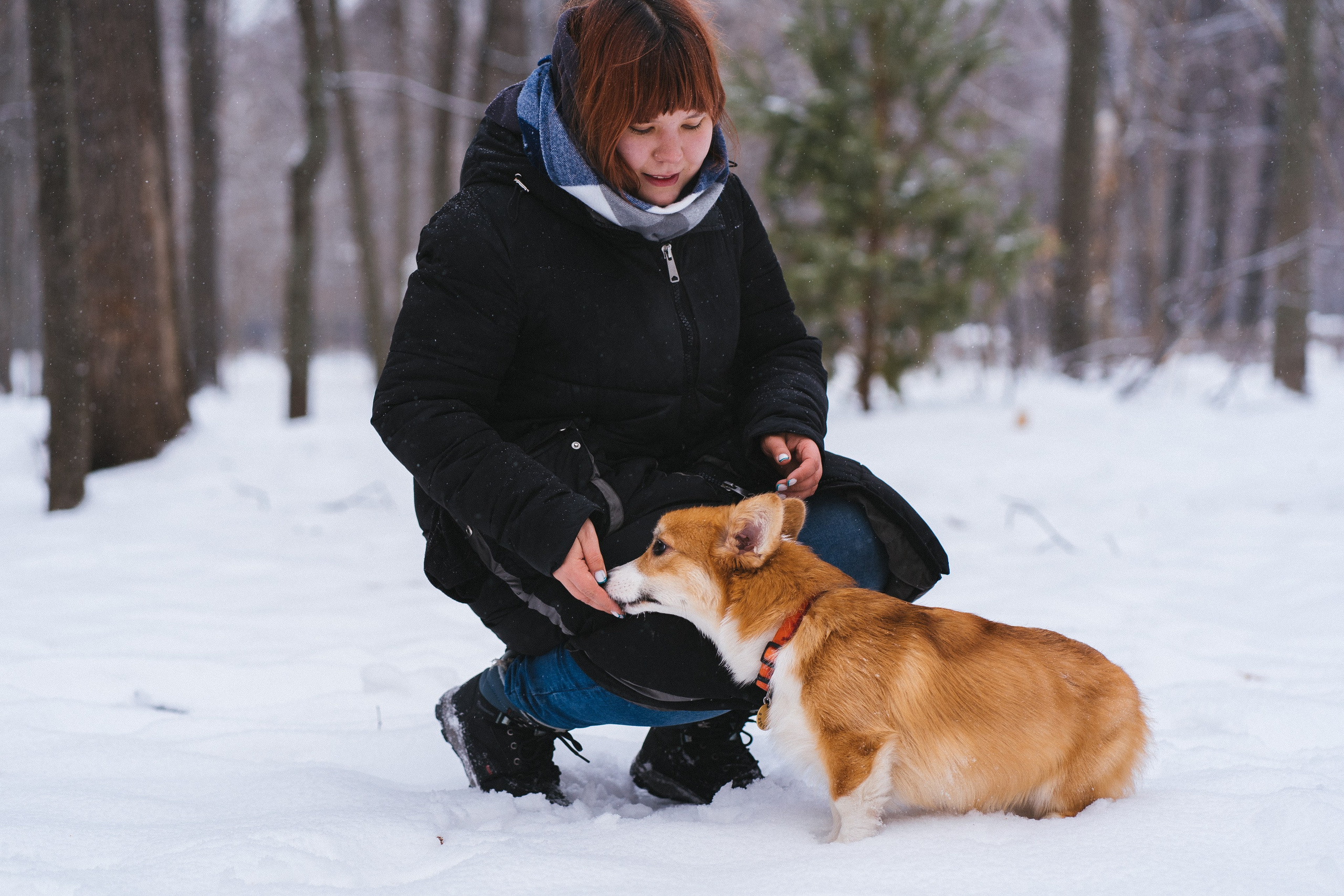 Агата и Лайк. Свадебный фотограф в Москве Анна Полушина