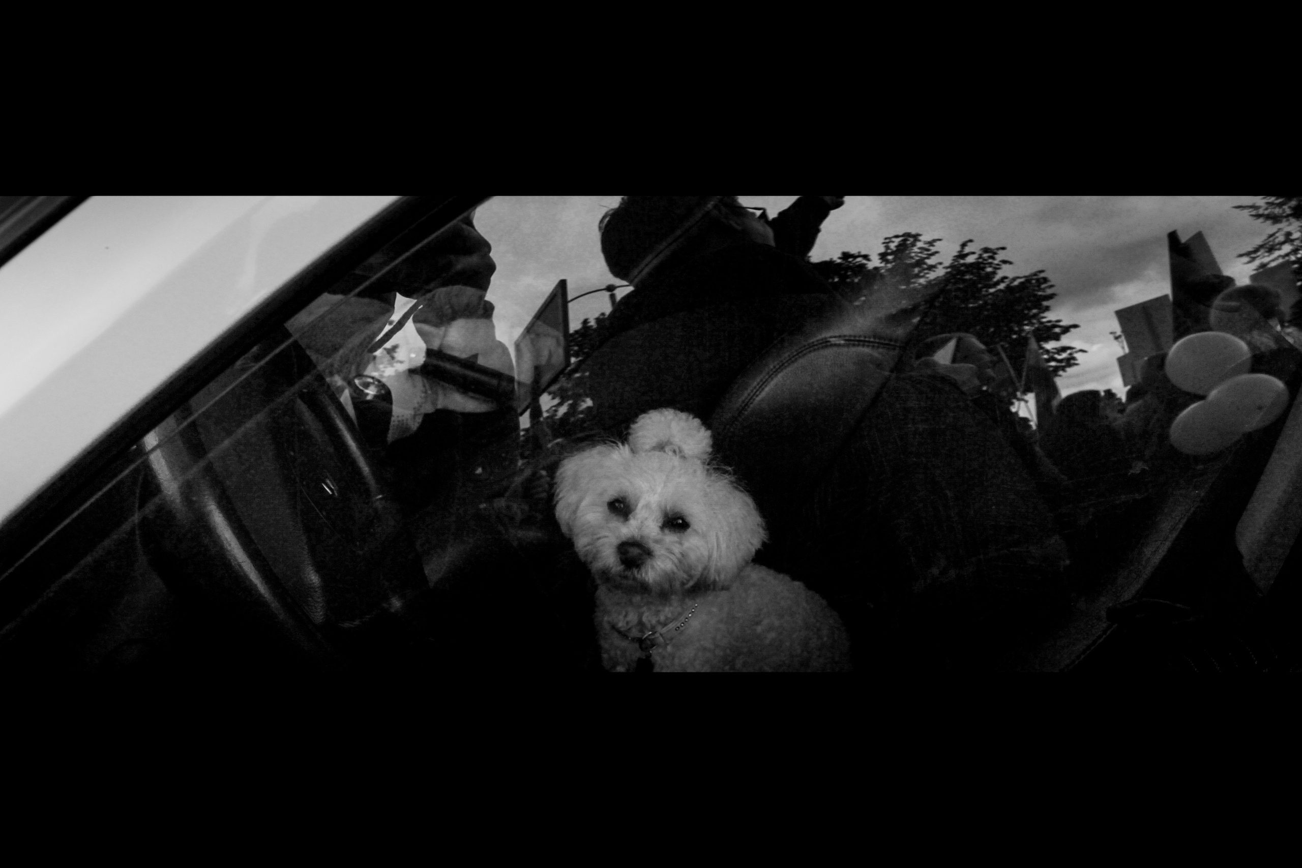 Репортаж. Sasha Ivanov — Documentary photographer