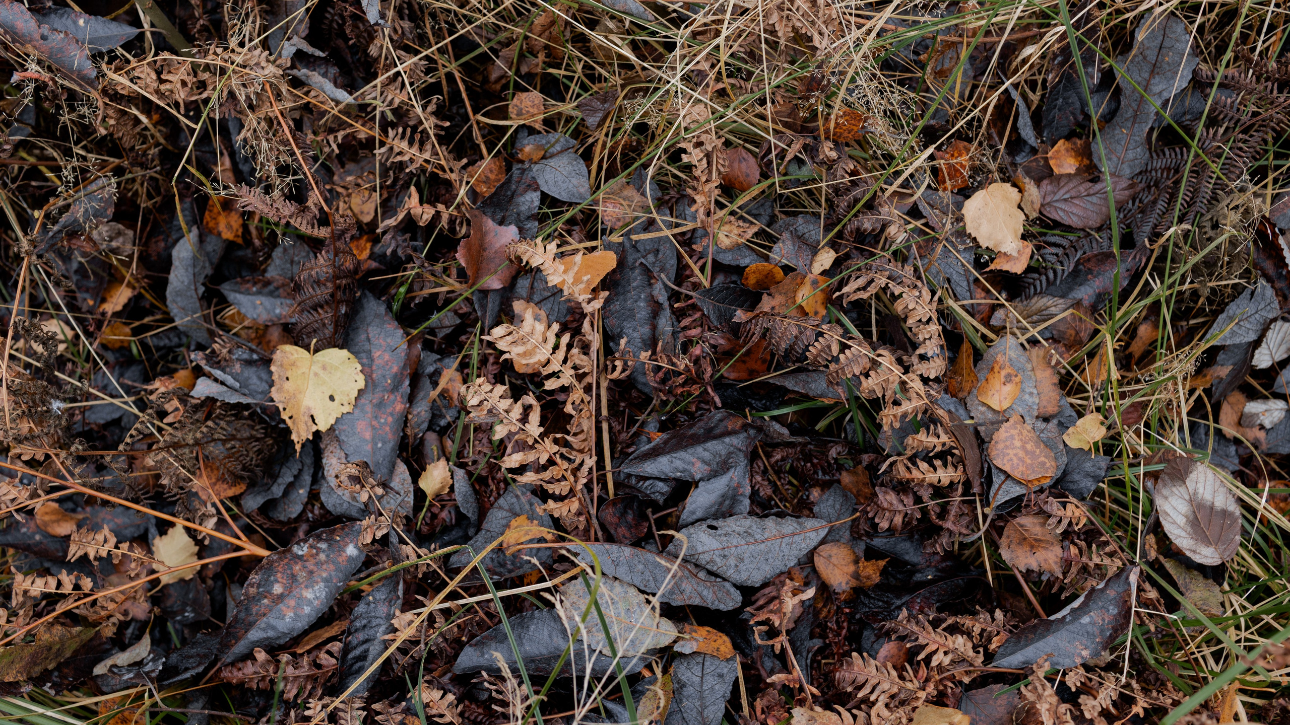 Съемка для глемпинг-отеля Хюгге Кэмп. Природа. Саша Кушнерова Фотографии. Sasha Kushnerova Photos