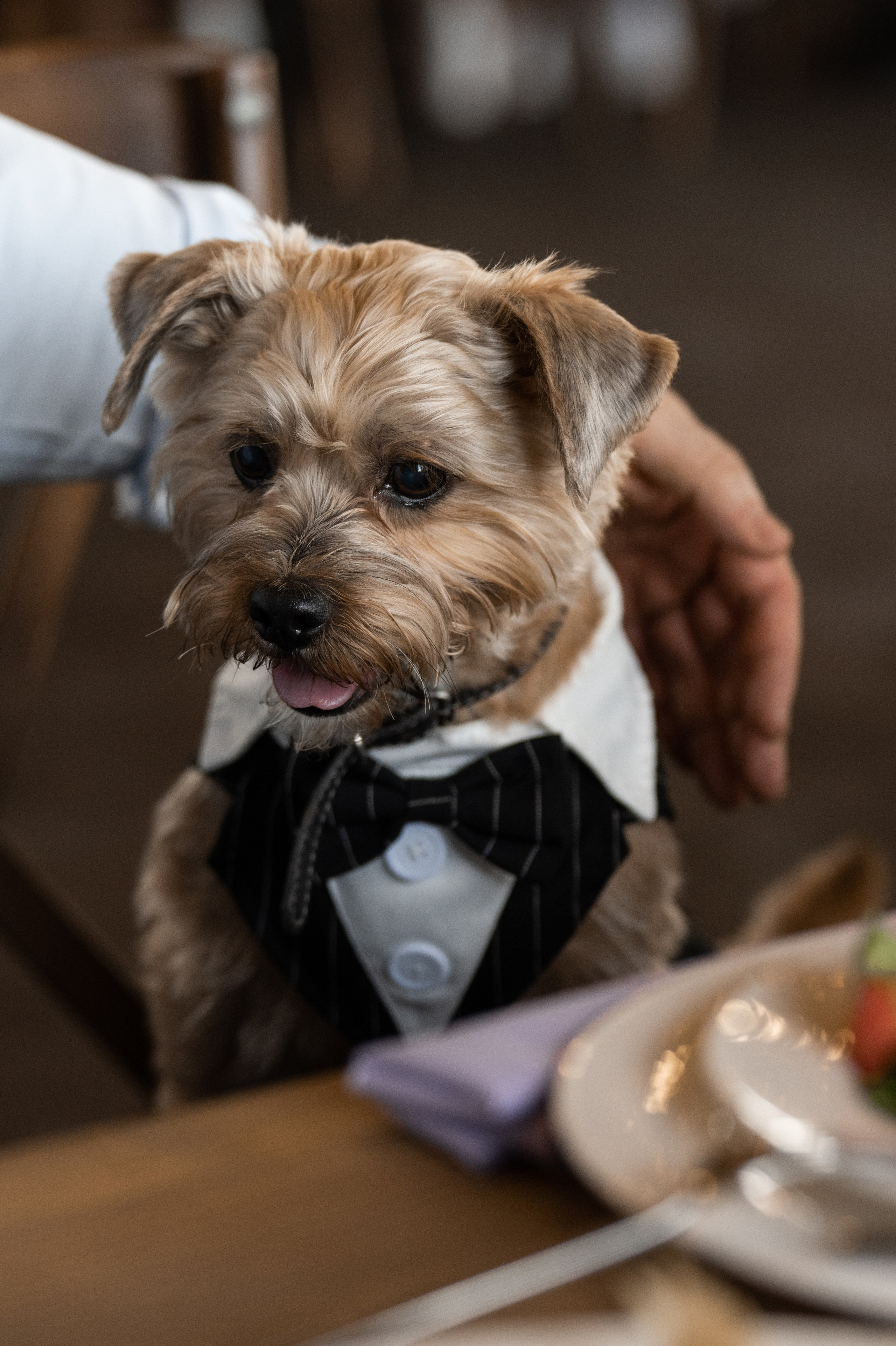 2024. Дима и Маша. Свадебный и семейный фотограф в Москве и Европе Евгения Амелина