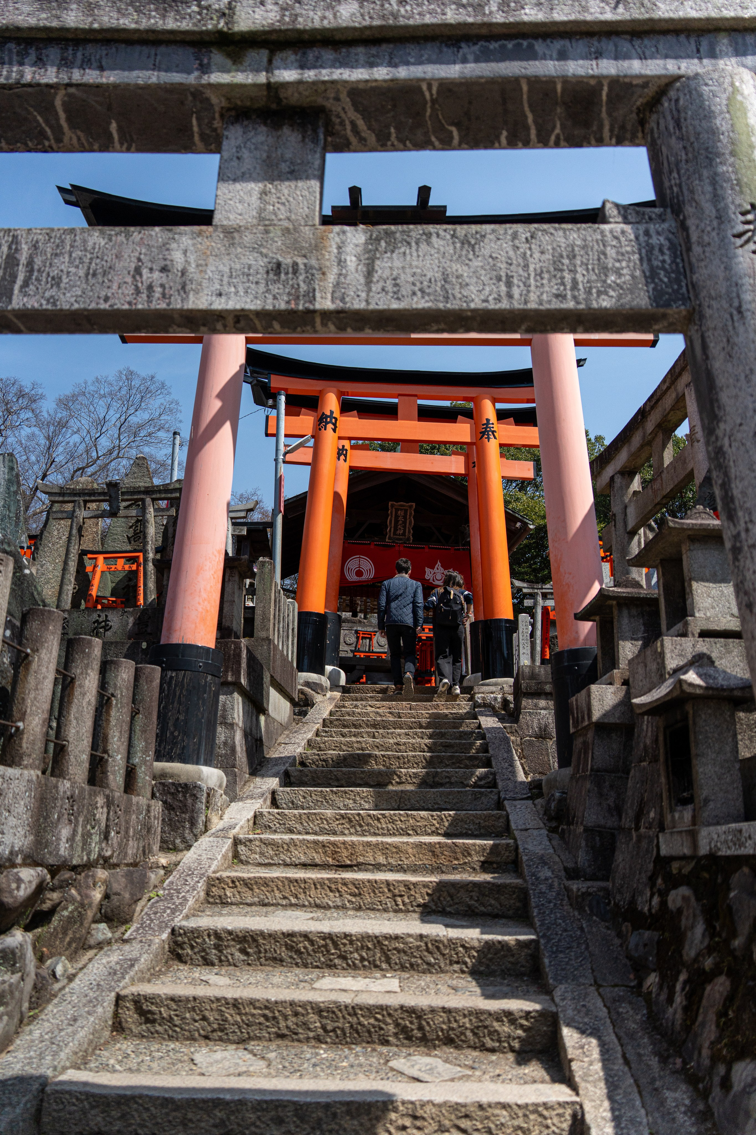Япония, сакура. Творческие сьемки