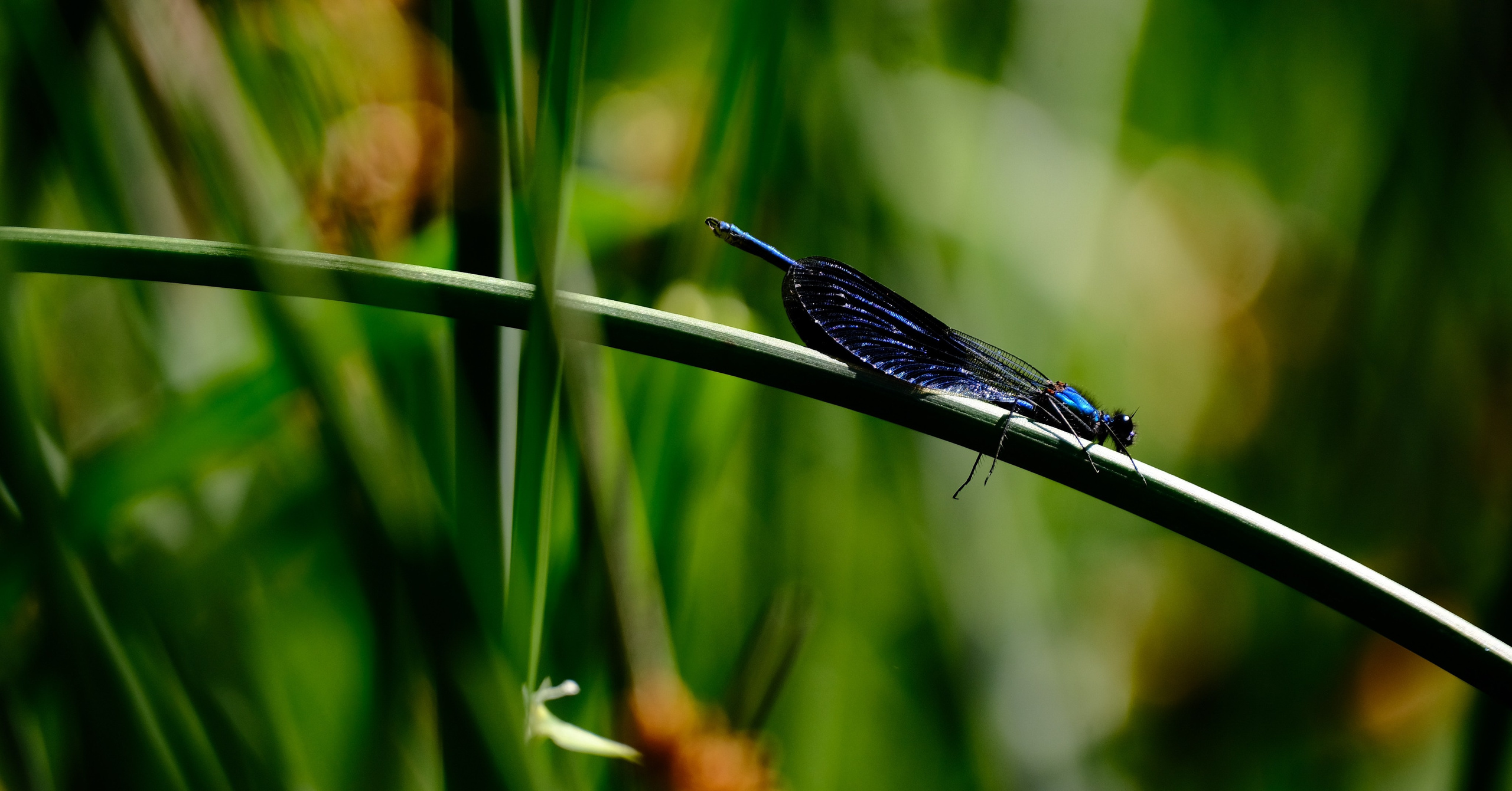 Фотограф-любитель из Кирова Андрей Погребняк