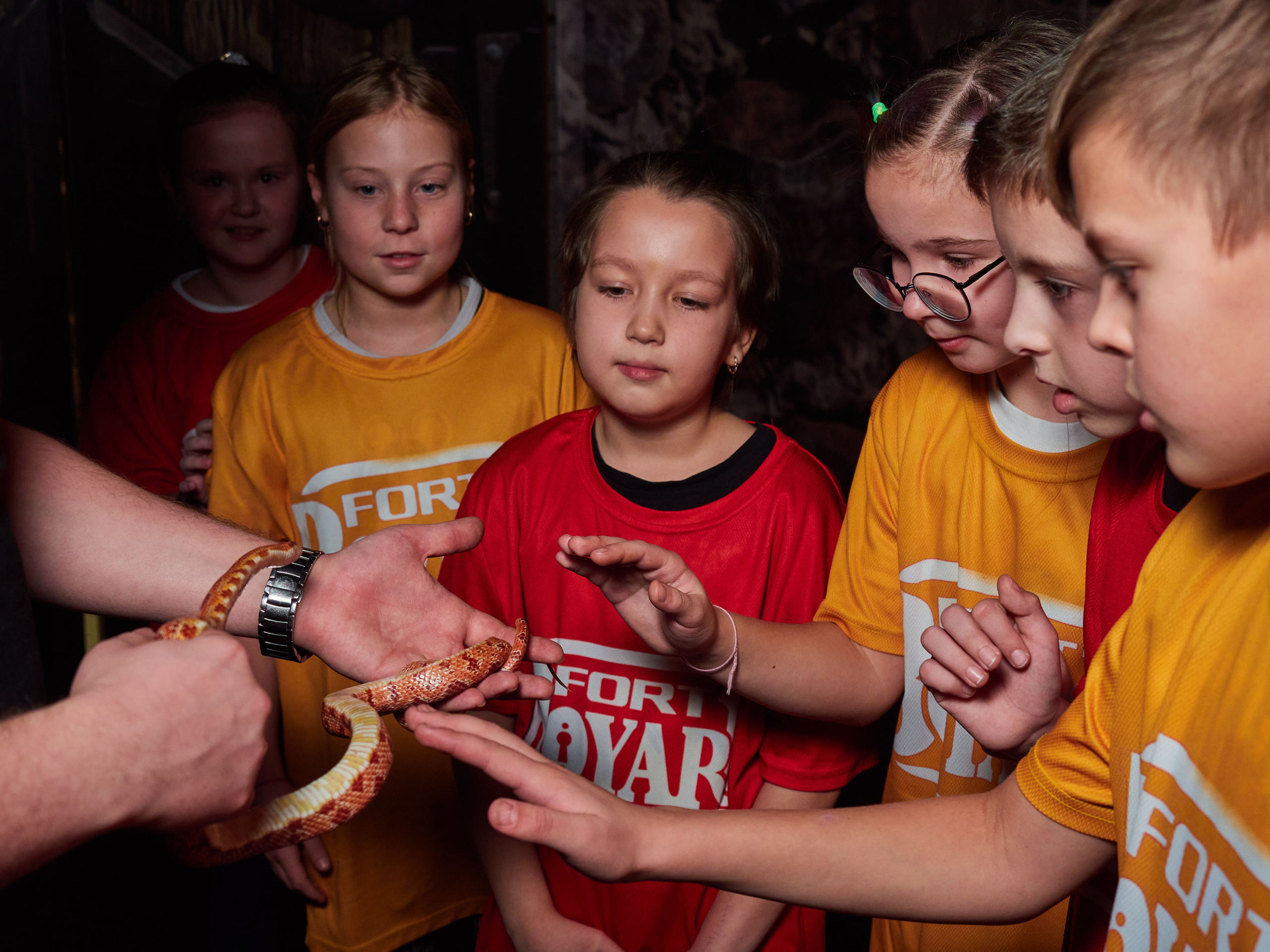 Квесты. Главная