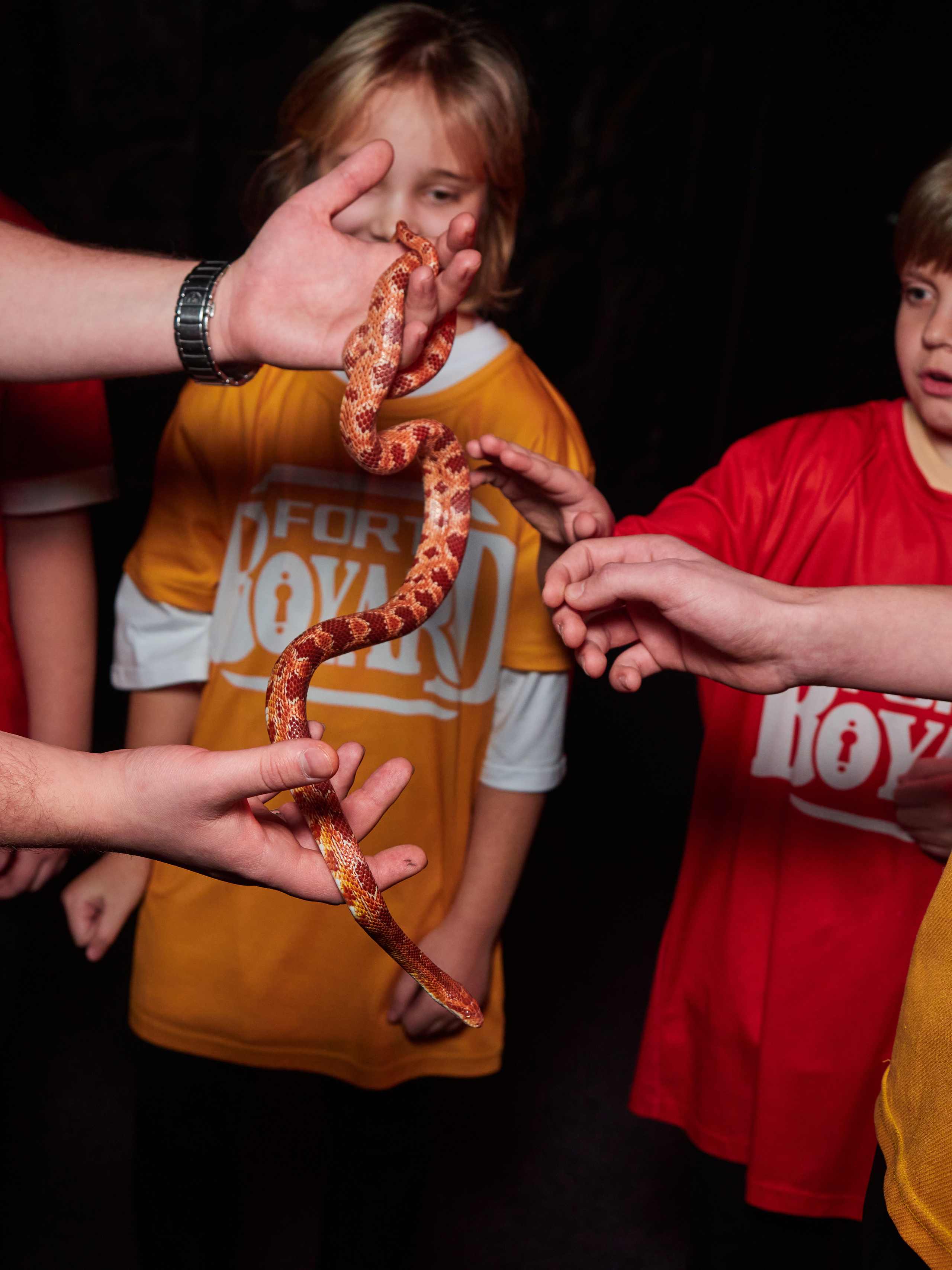 Квесты. Главная