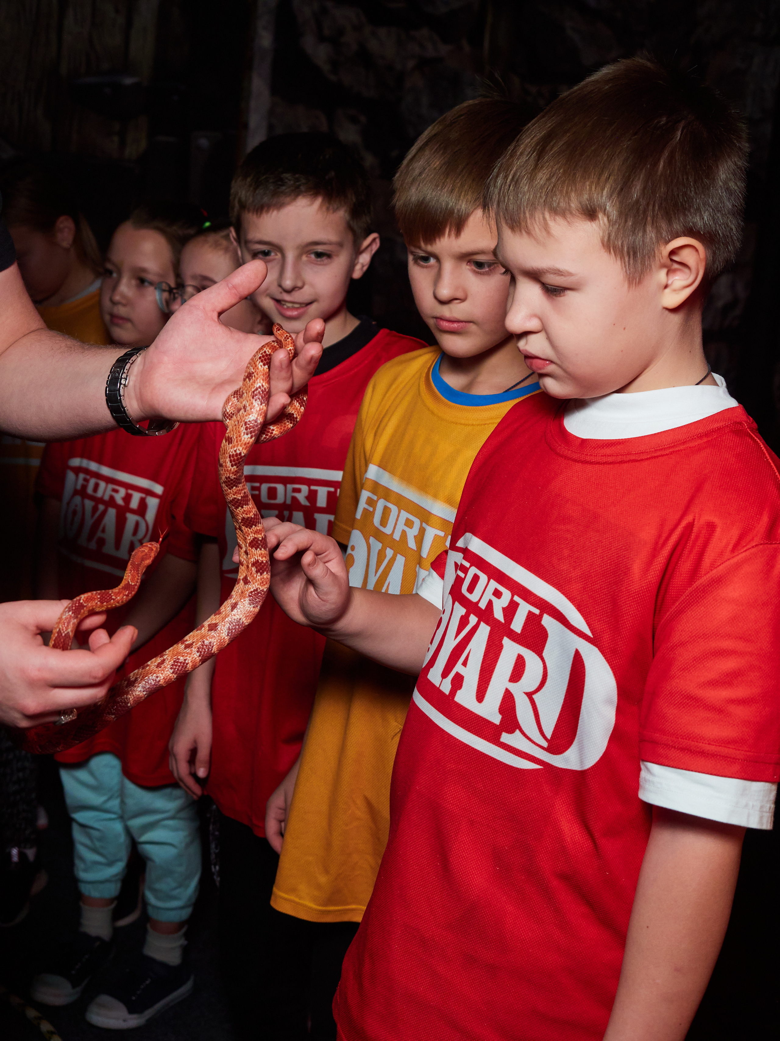 Квесты. Главная